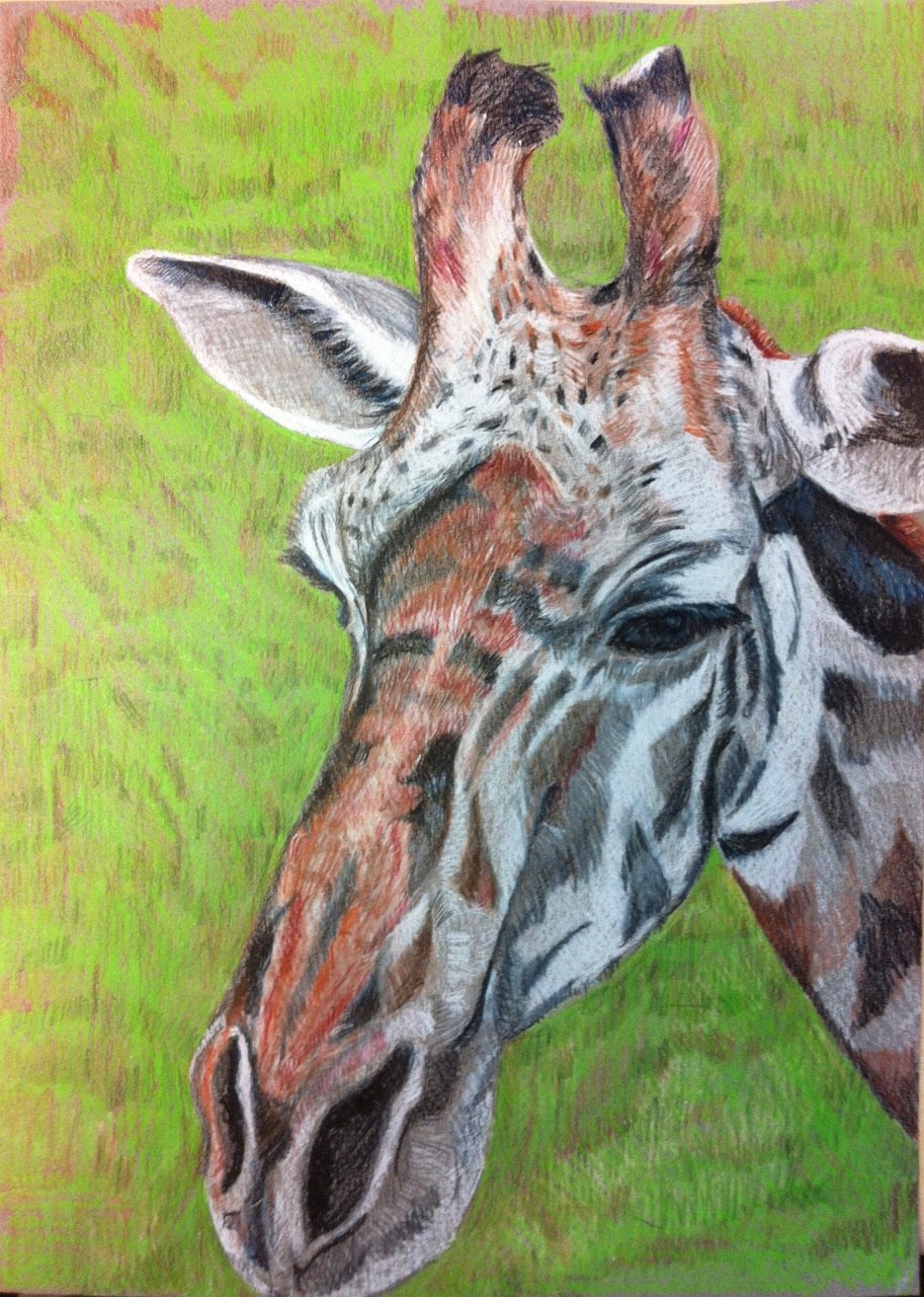 Giraffe