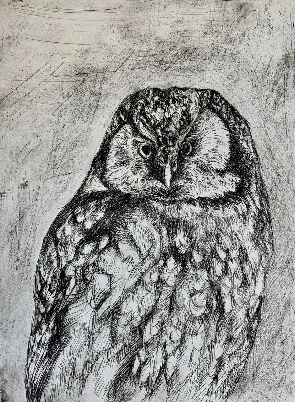 Whooo..., Monoprint, Barbara H Greenwood