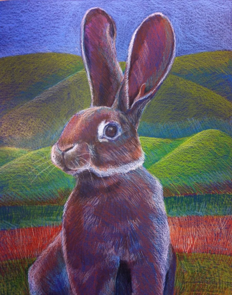 Peter Rabbit