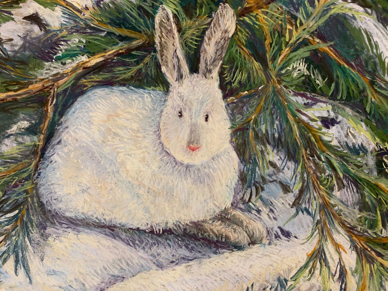 Winter Resting, Original Pastel Drawing, Barbara H Greenwood
