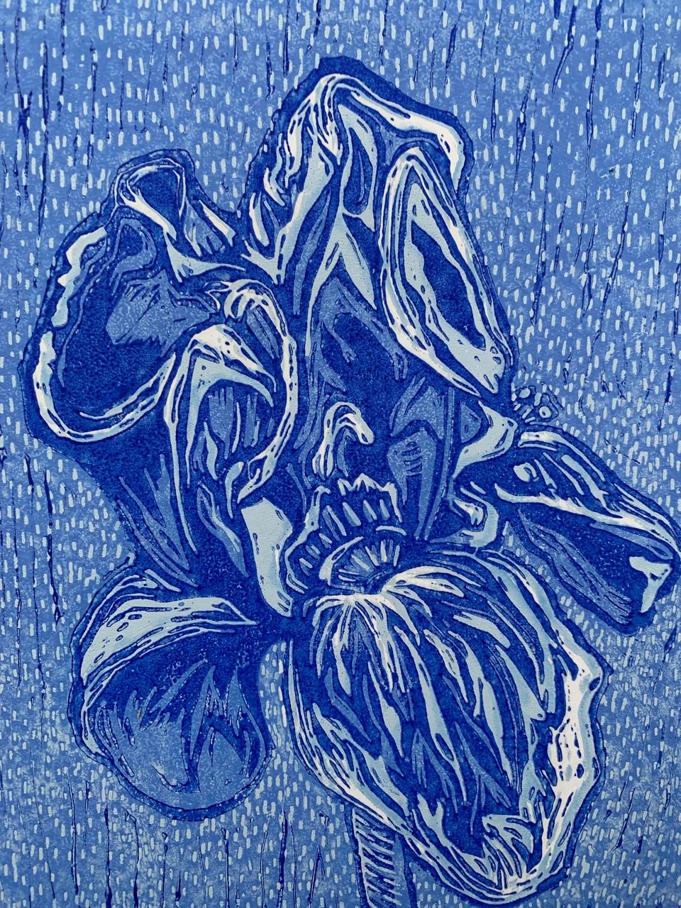Spring Has Sprung, Linocut Print, Barbara H Greenwood