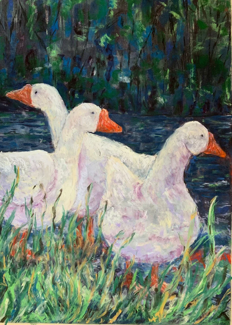 Ganders in Spring, Original Pastel Drawing, Barbara H Greenwood