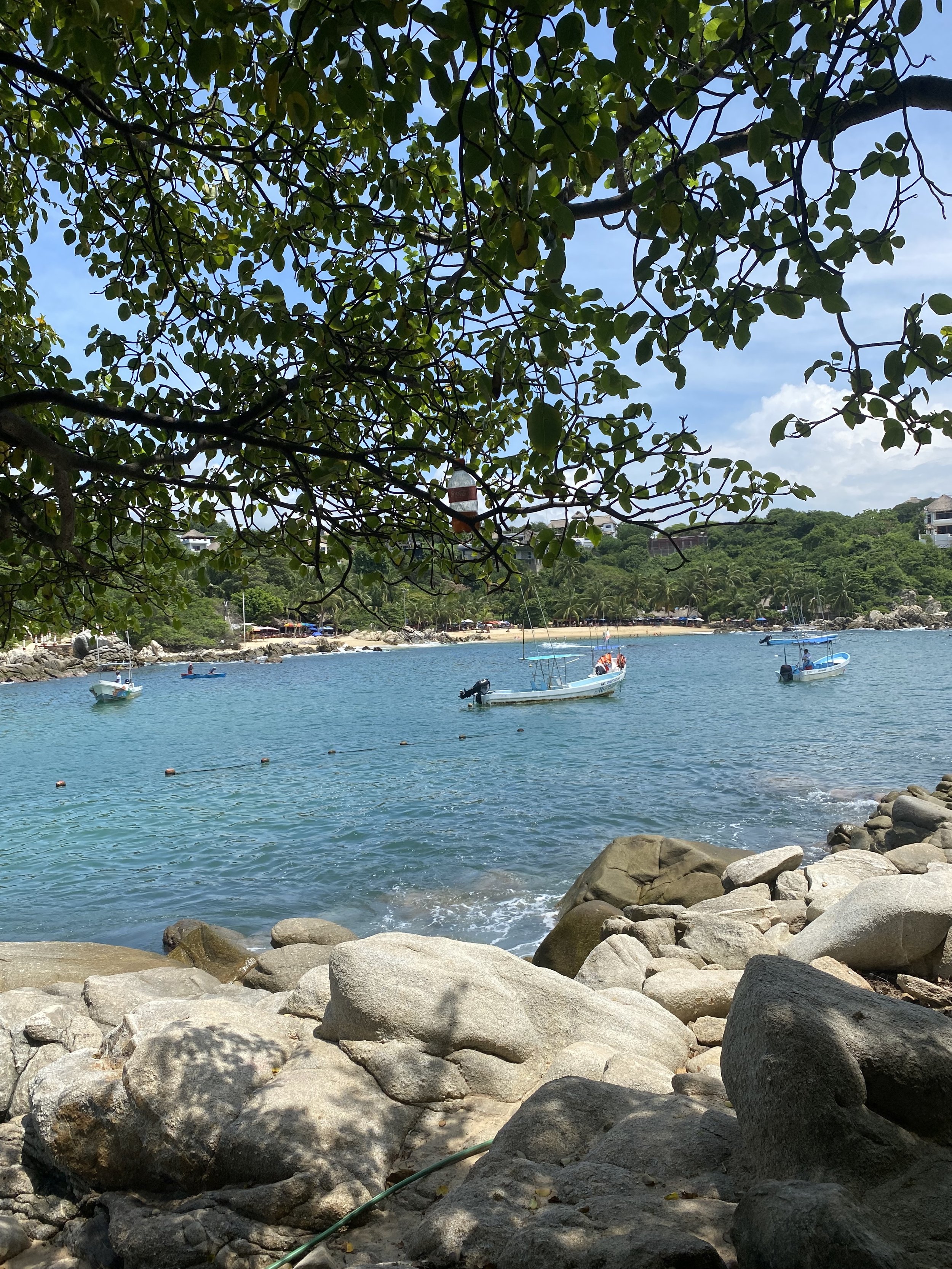 Where to Stay in PUERTO ESCONDIDO, OAXACA