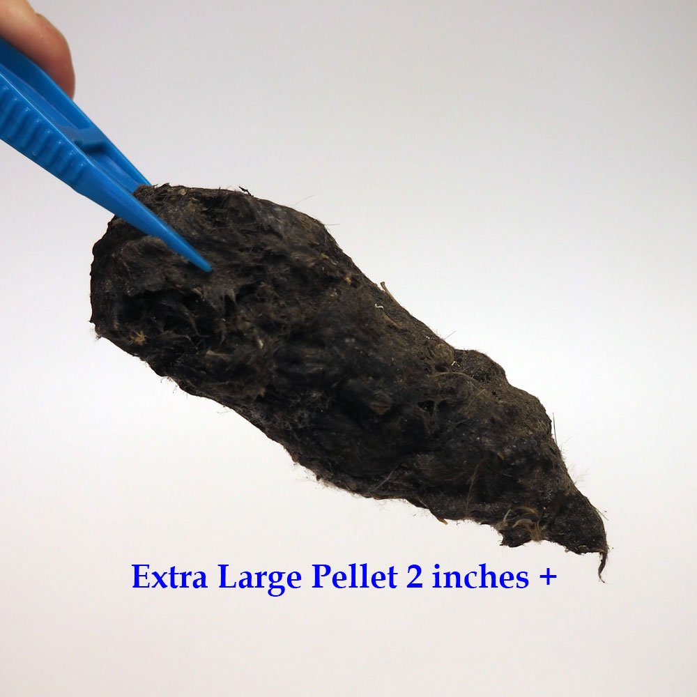 Pellet_extra_large_3_with_text.jpg