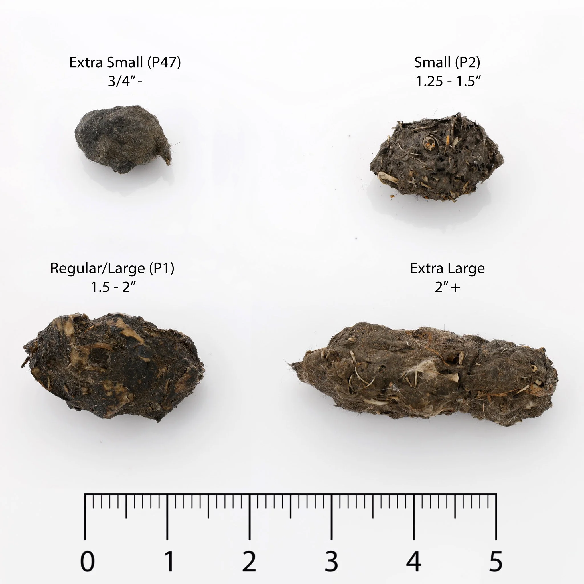 pellet sizes.jpg