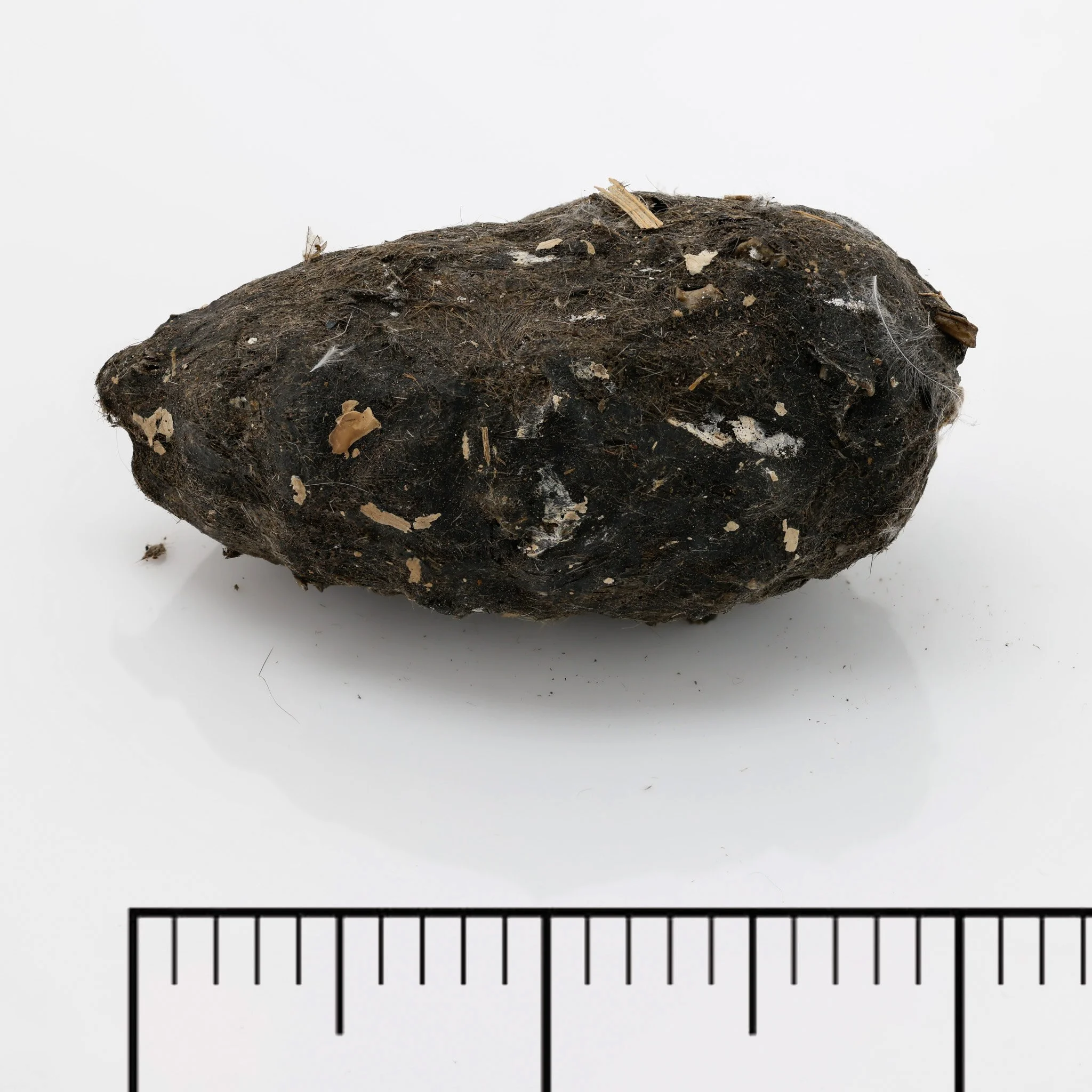 P1_2.jpg