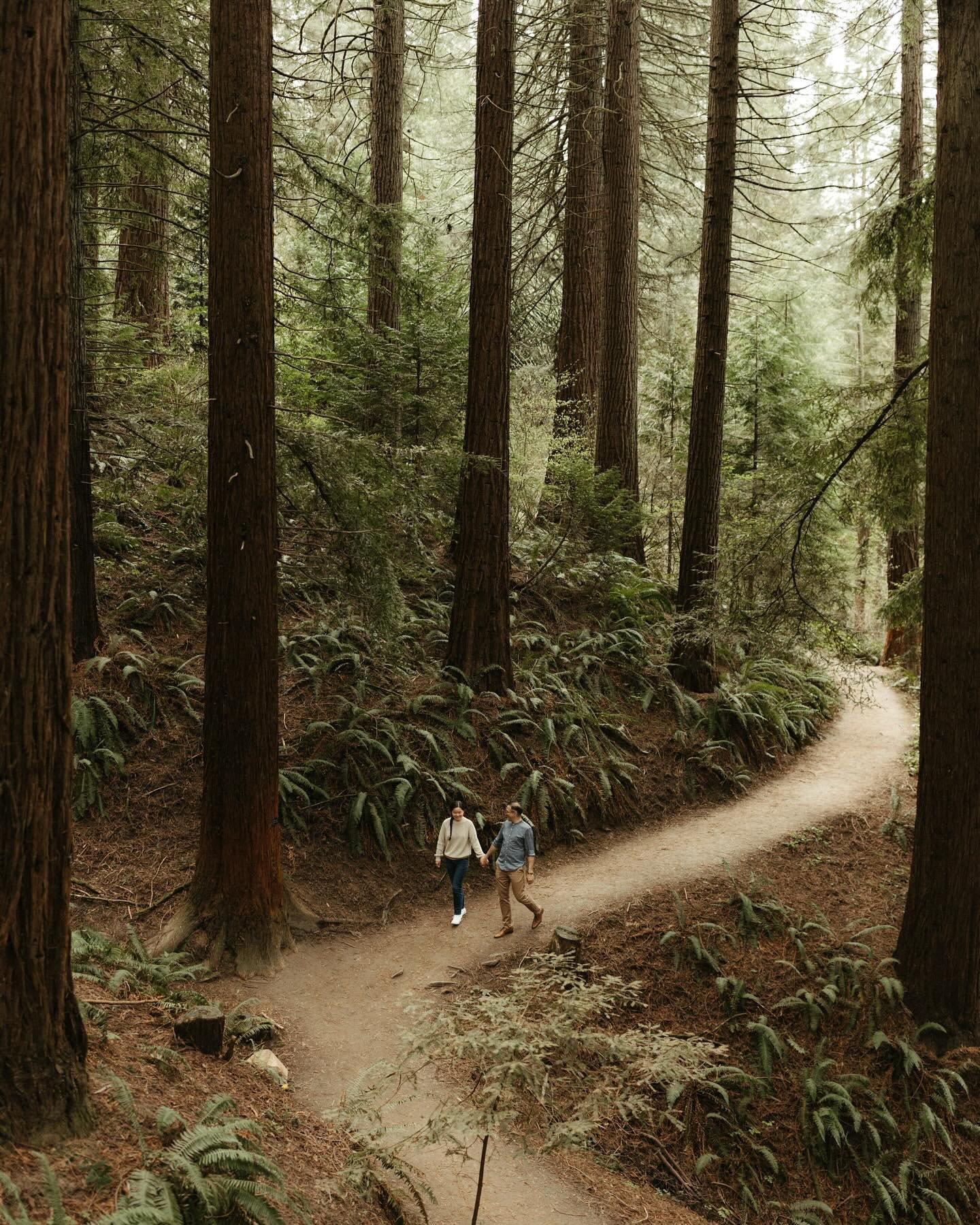 An evergreen love 🌲🤍 cannot wait for these two to tie the knot in June!
.
.
.
.
.
.
Engagement photos in Portland, Oregon. Small wedding and elopement photographer based in the PNW. #pnwelopementphotographer #pnwweddingphotographer #oregonweddingph