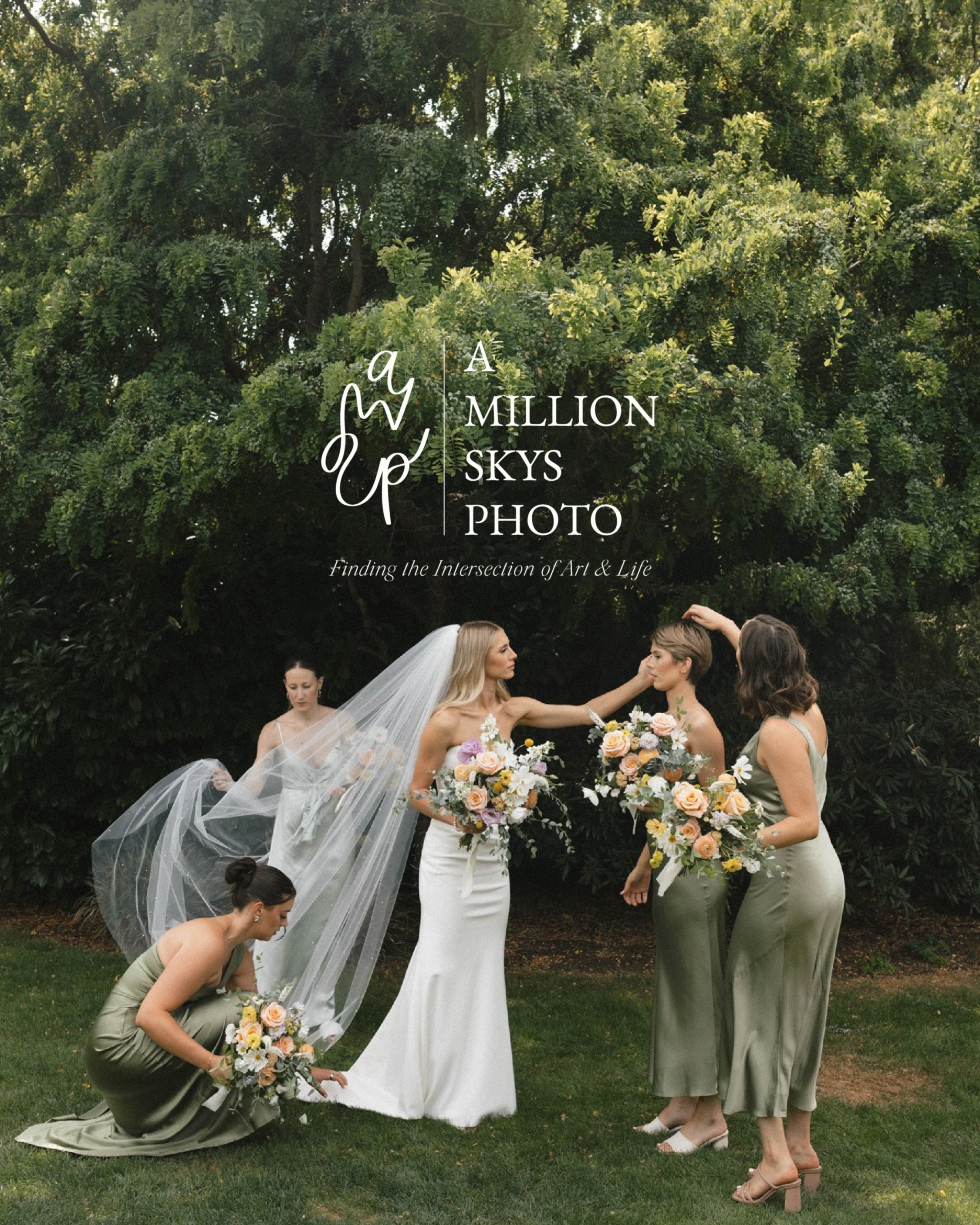 Brand Design for A Million Skys Photography