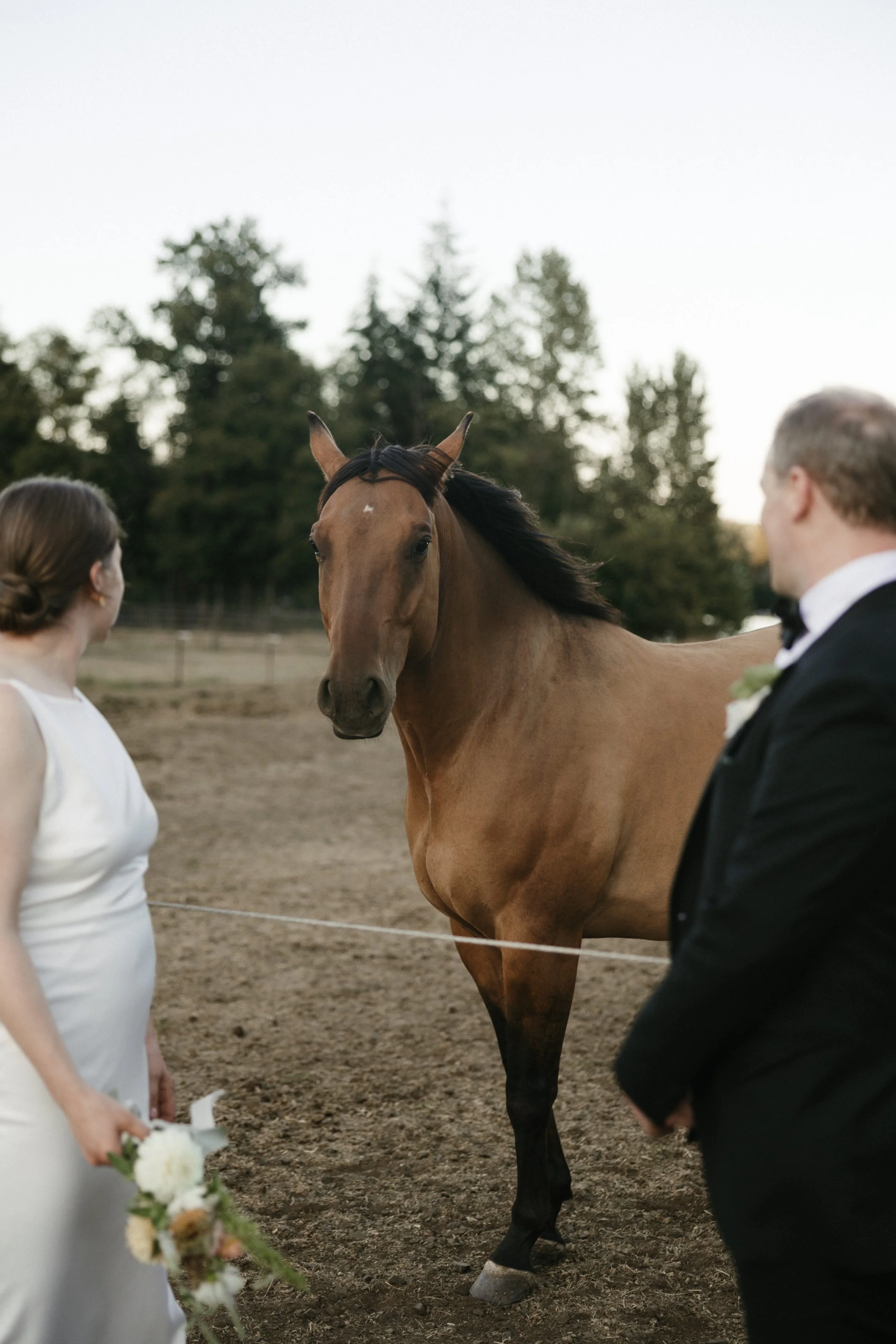 wedding-photos-han-kat-photo-pnw-portland-oregon-195.jpg