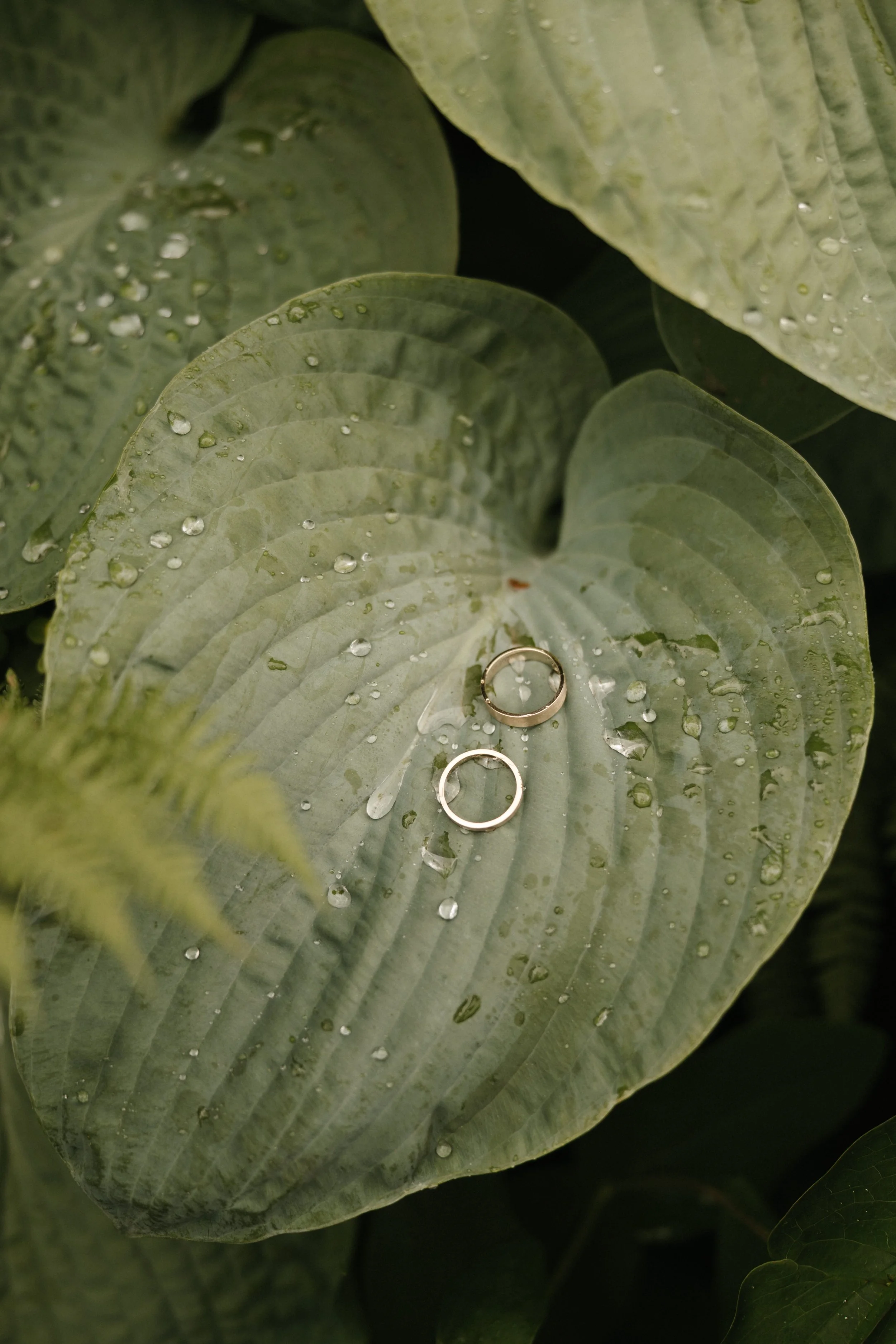 wedding-elopement-photos-han-kat-photo-pnw-portland-oregon-1.jpg