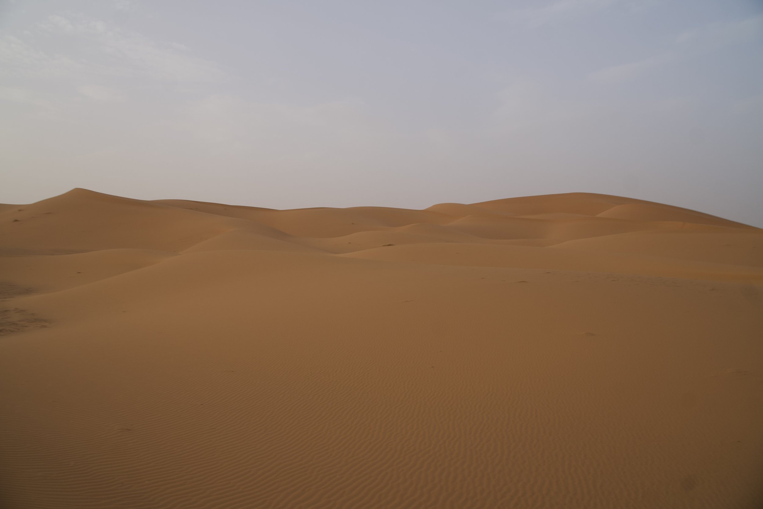 The Sahara Desert sand dunes