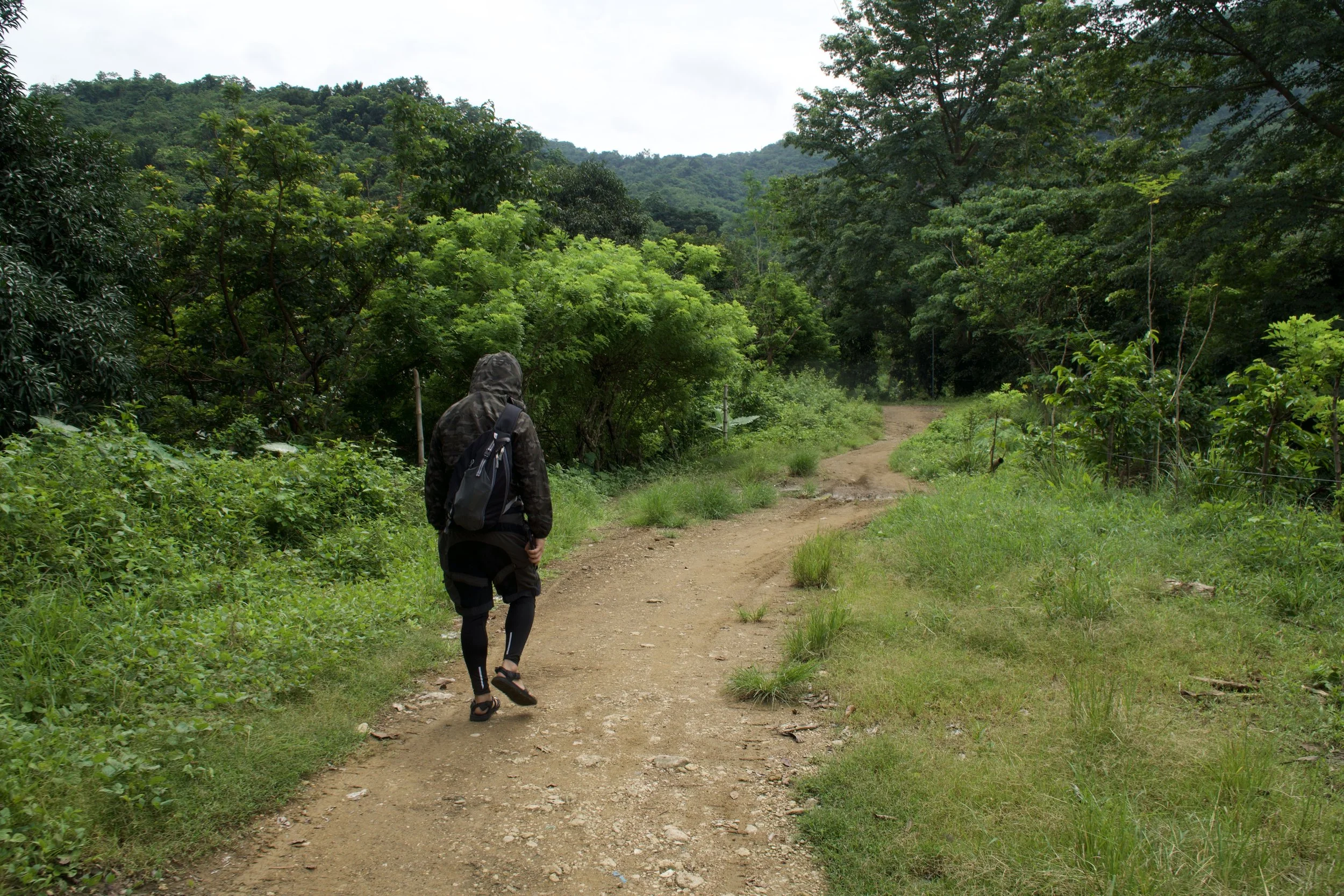 pao moving fast for no reason 