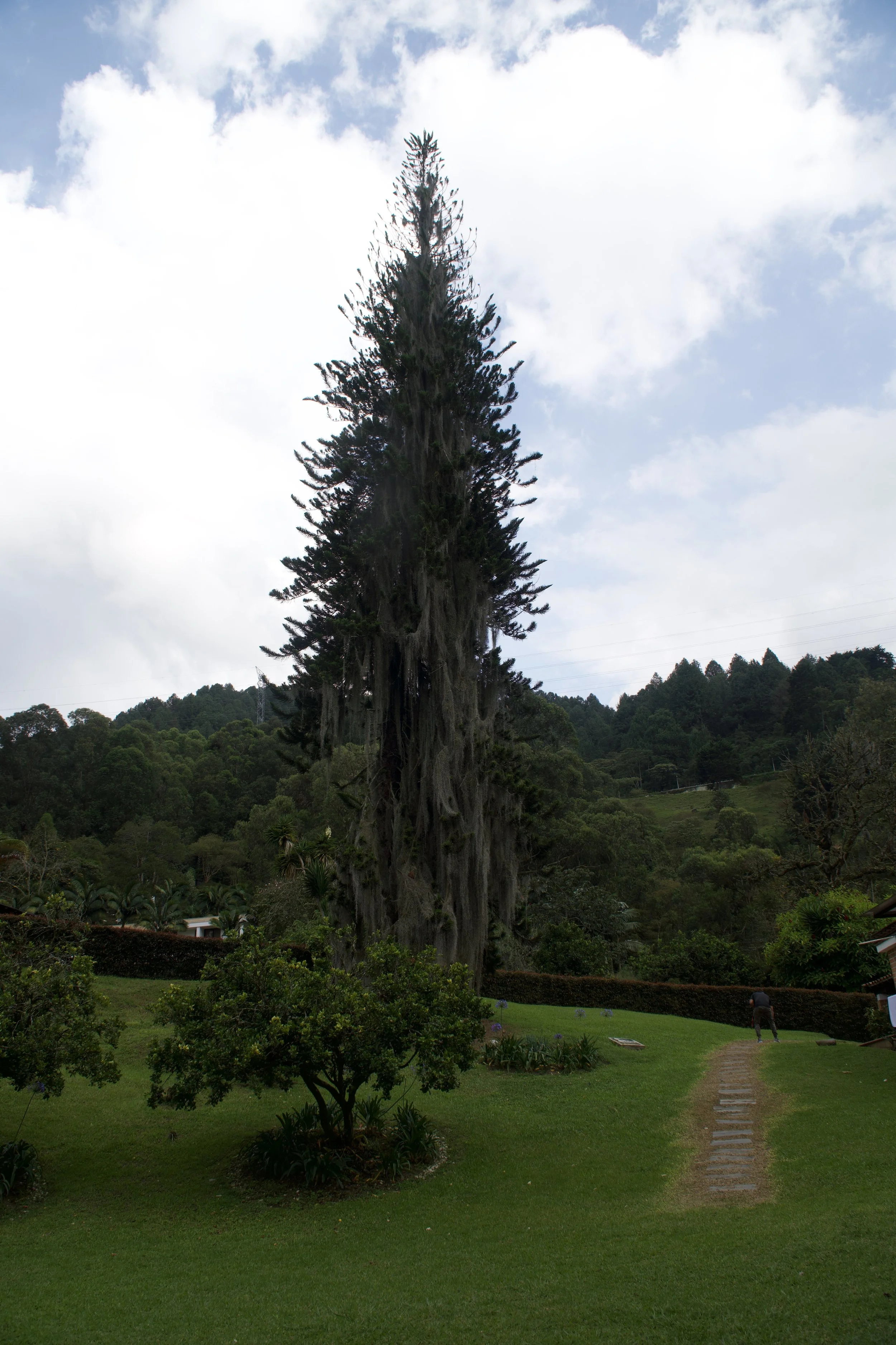DSC08012.jpeg