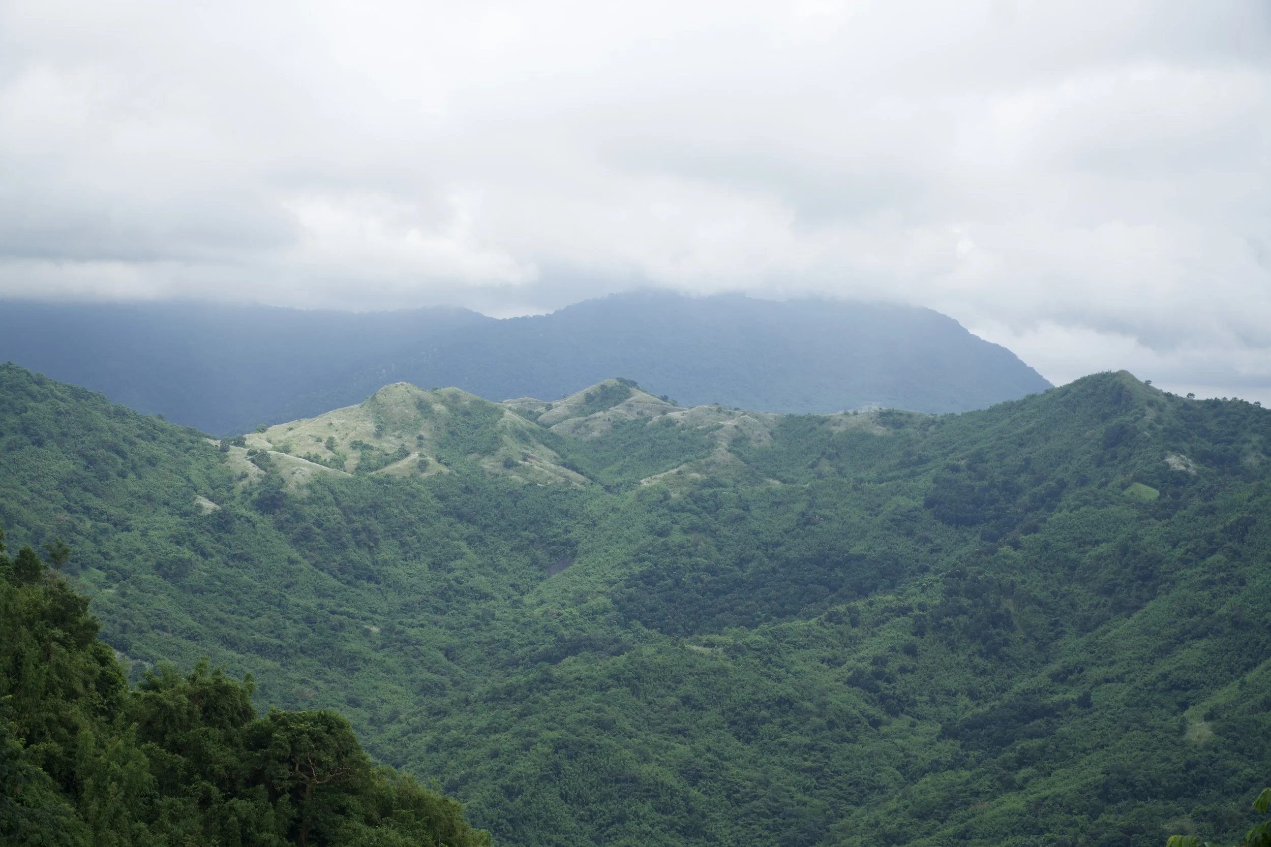 Mt Ayaas summit views