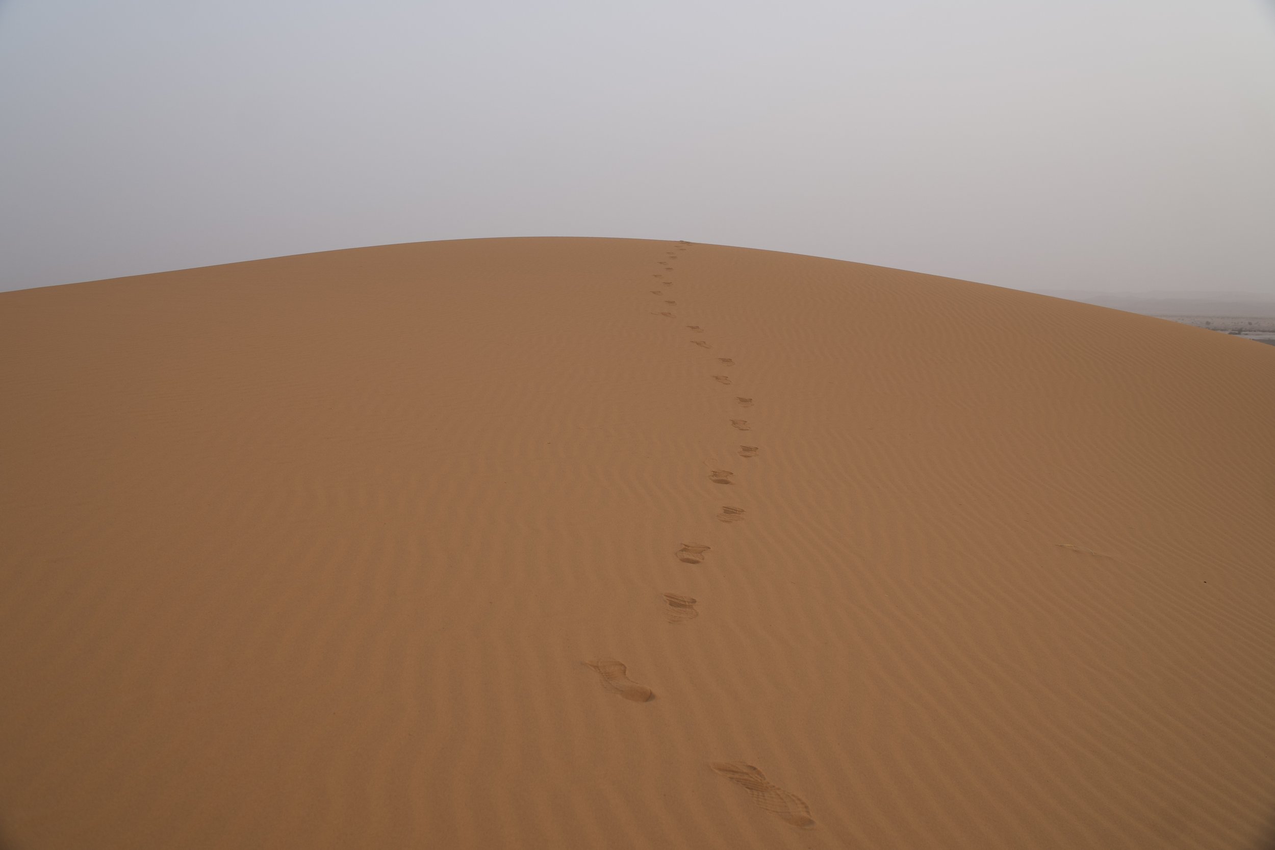 footsteps in the desert