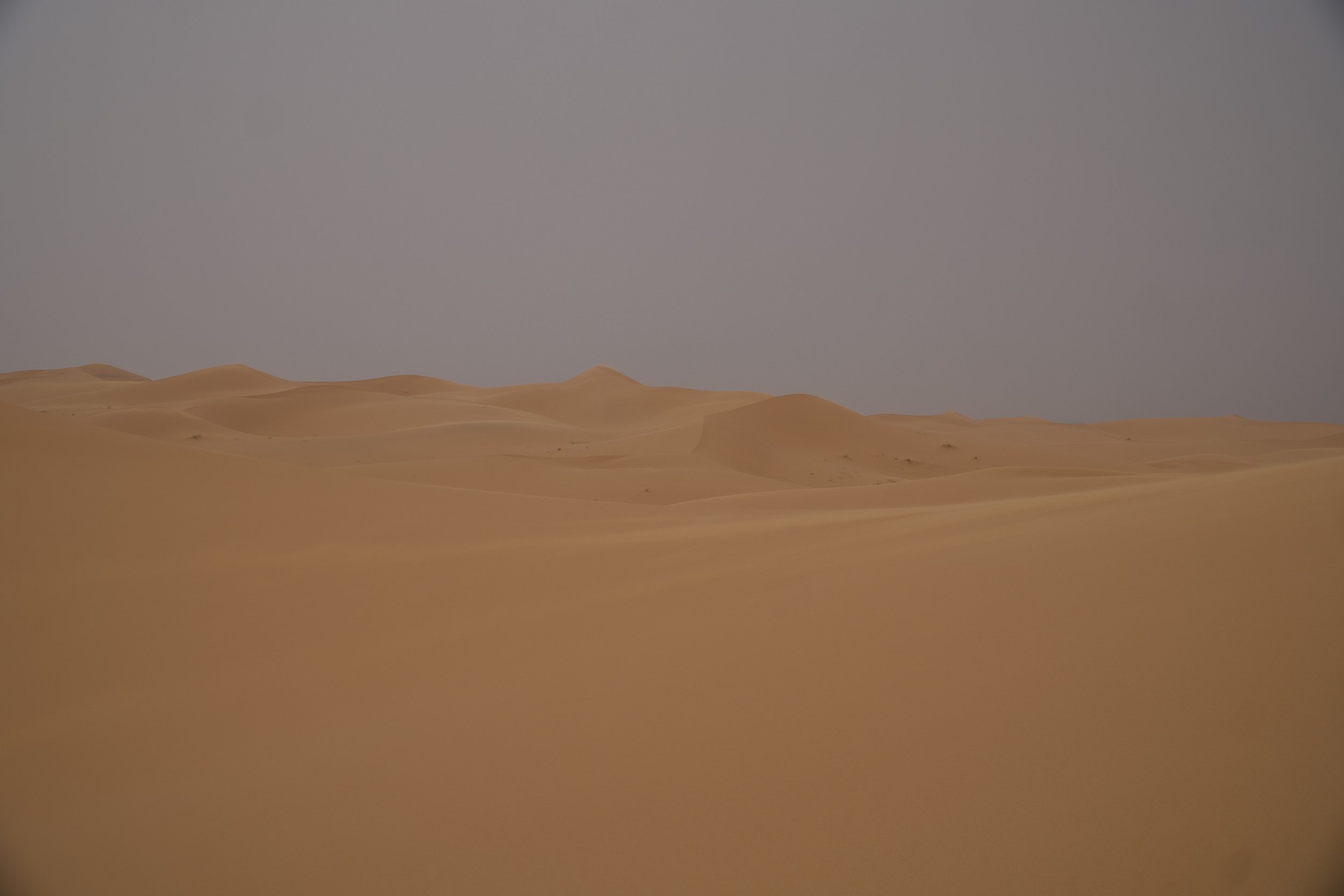 more dunes