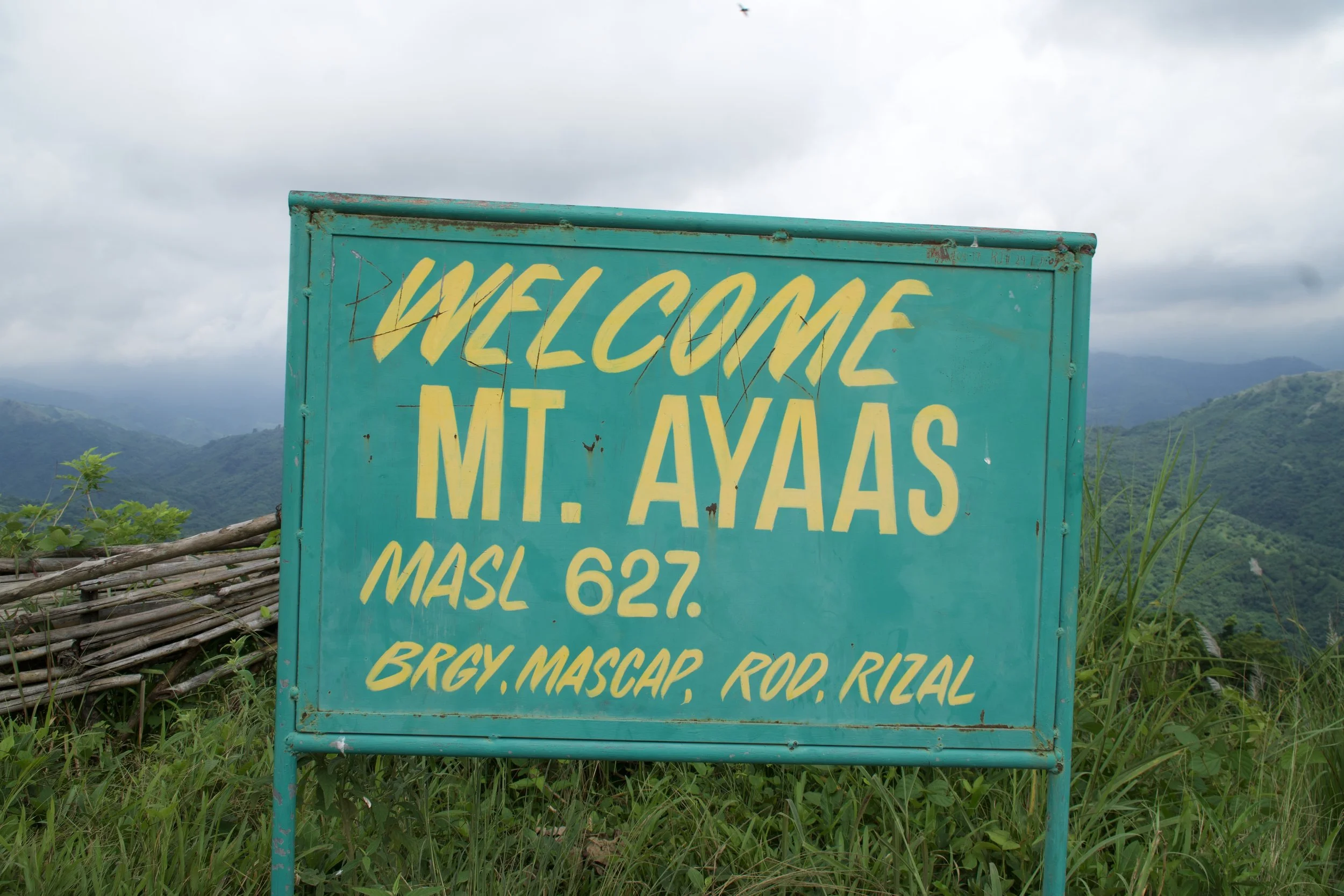 Mt. Ayaas summited 