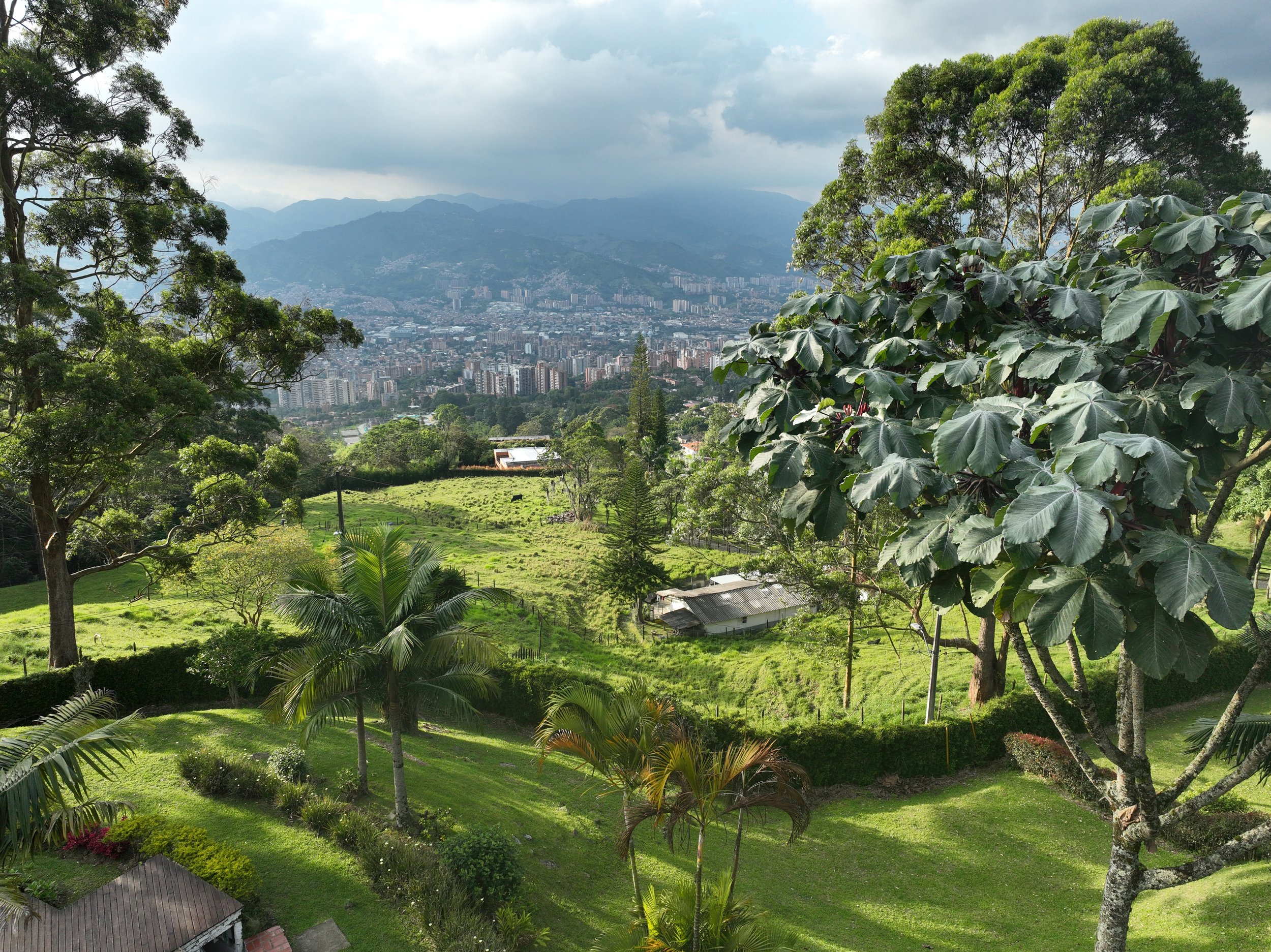 DJI_0386.JPG