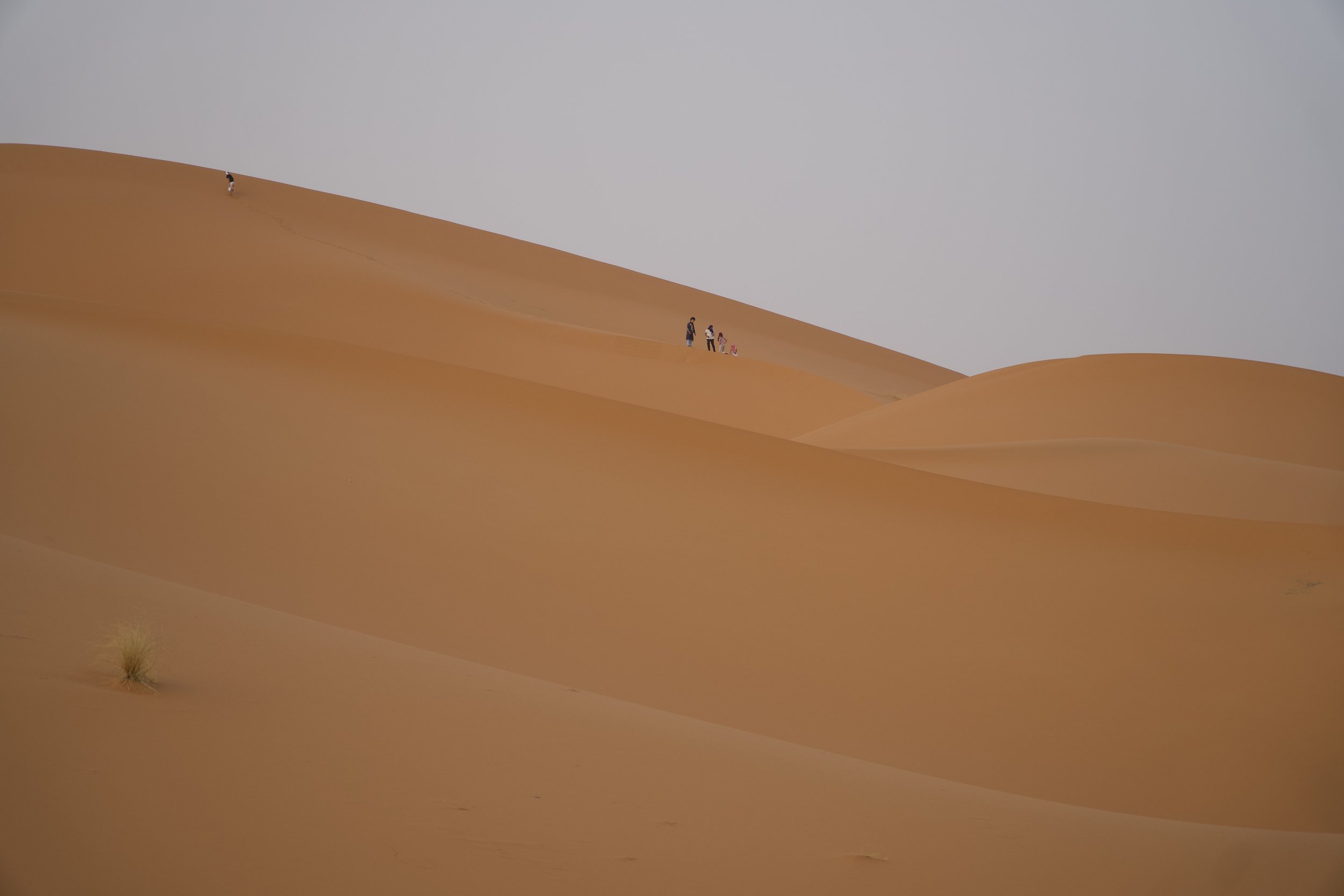 people far off in the distance