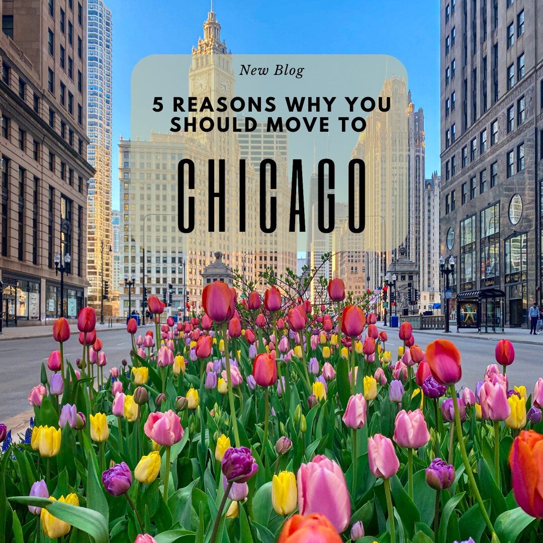 Looking to buy a new home in Chicago this spring? 🌸

🏡 Look no further! Our latest blog post highlights the top 5 reasons why buying a home in Chicago this season is smart. From the beautiful weather ☀️ to the thriving real estate market, we've got