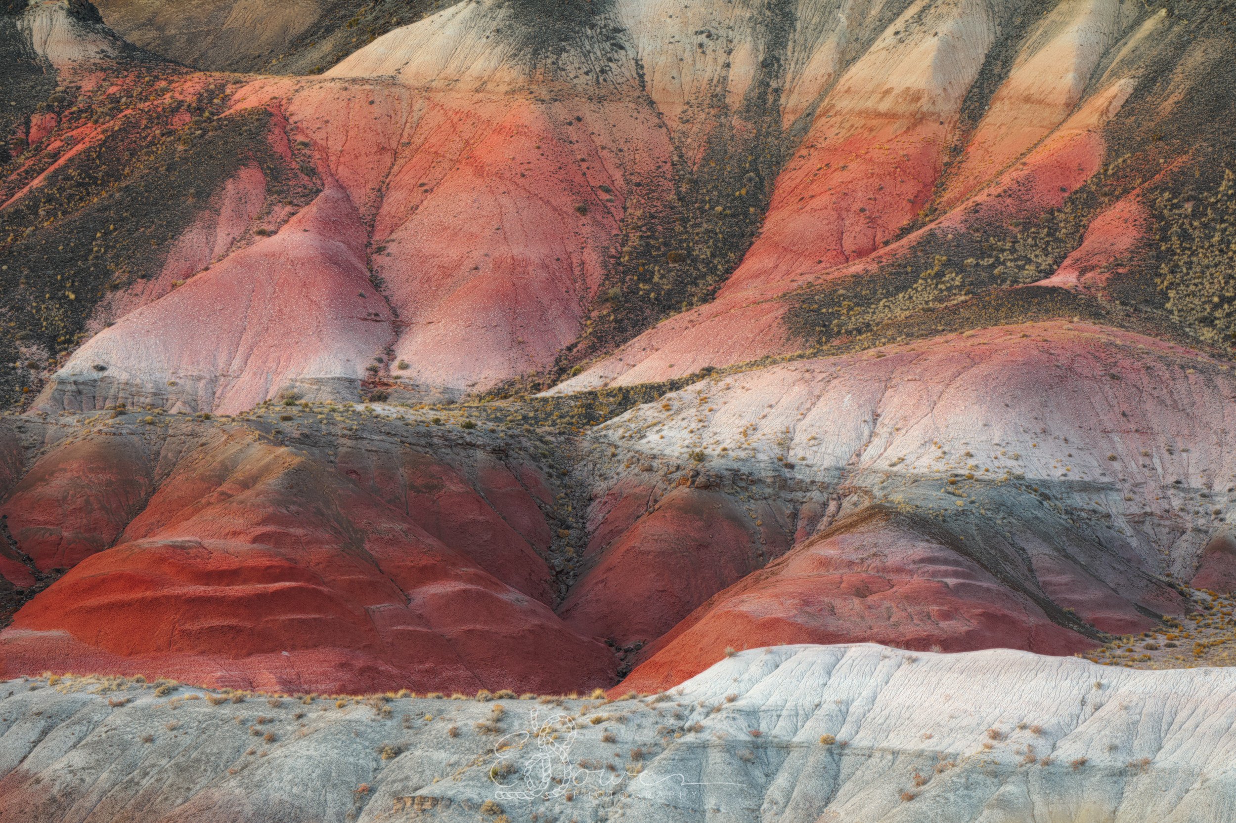   PETRIFIED FOREST II    
 Shot in Petrified Forest National Park, AZ | December 2024   
200 mm | f/4 | 1/30 s | ISO 100  
 