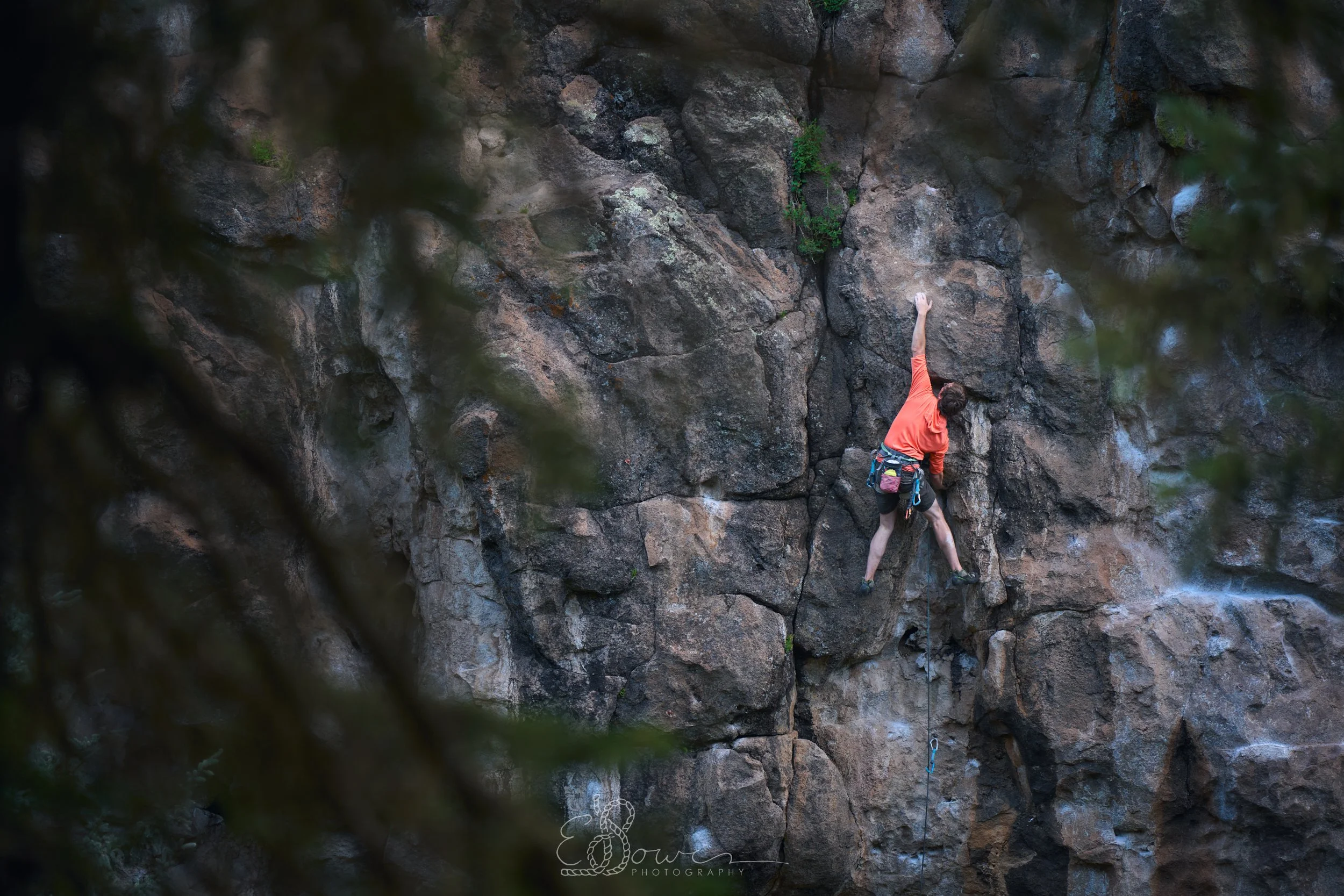 CYCLOPS  
 Shot in the Jemez Mountains, NM | July 2025   
200 mm | f/2.8 | 1/250s | ISO 640
  new mexico.,  