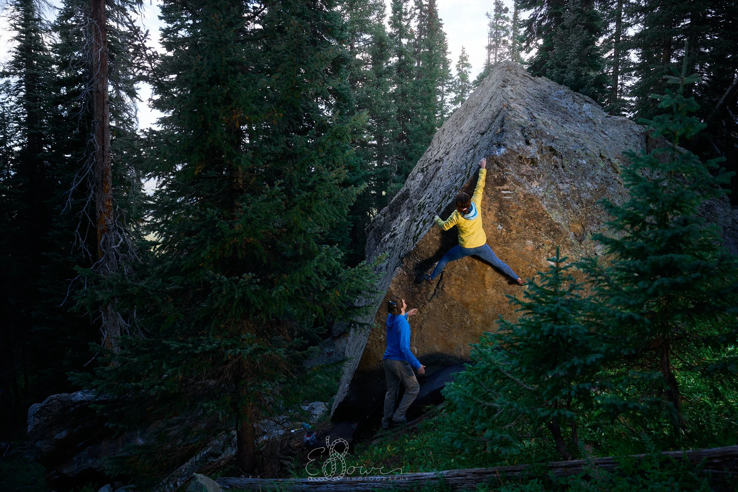 TROPHIC CASCADE   
 Shot at Bolam Pass, CO | September 2025   
26 mm | f/4 | 1/250s | ISO 200
  bouldering.  