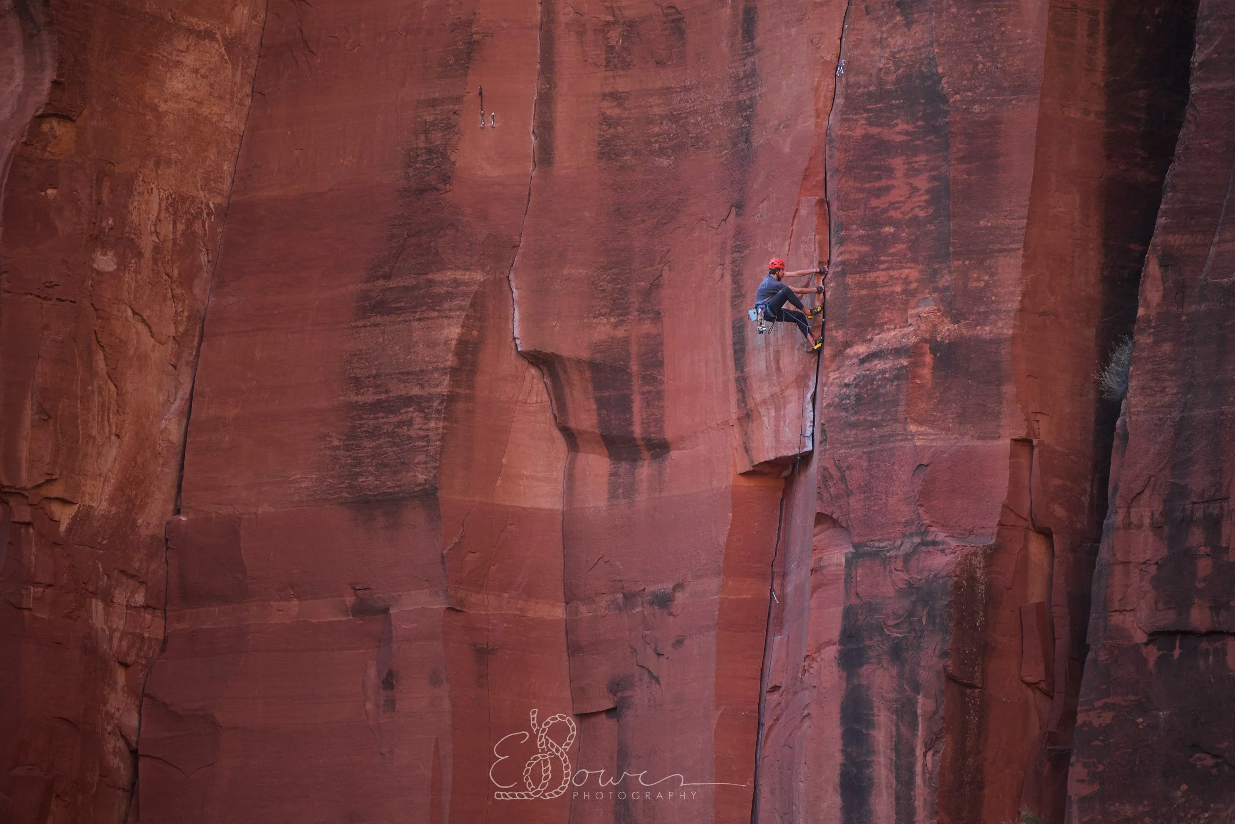  SCARLET BEGONIAS  
 Shot in Zion N.P., UT |  November 2025   
600 mm | f/6.3 | 1/500 s | ISO 2500  
 
  utah., 