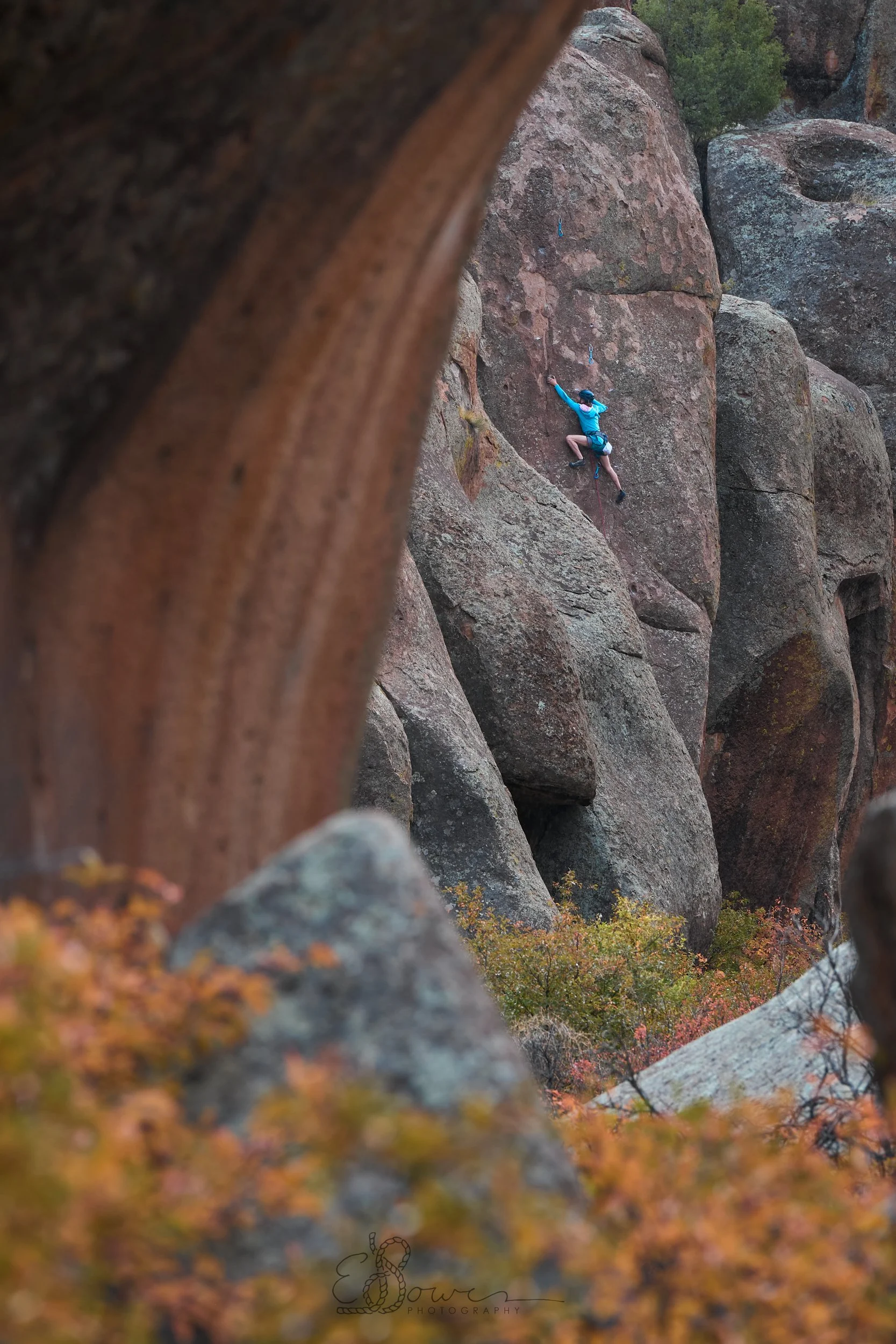  MILO  
 Shot in Penitente Canyon, CO | October 2025  
200 mm | f/5.6 | 1/250 s | ISO 640
  colorado.,  
