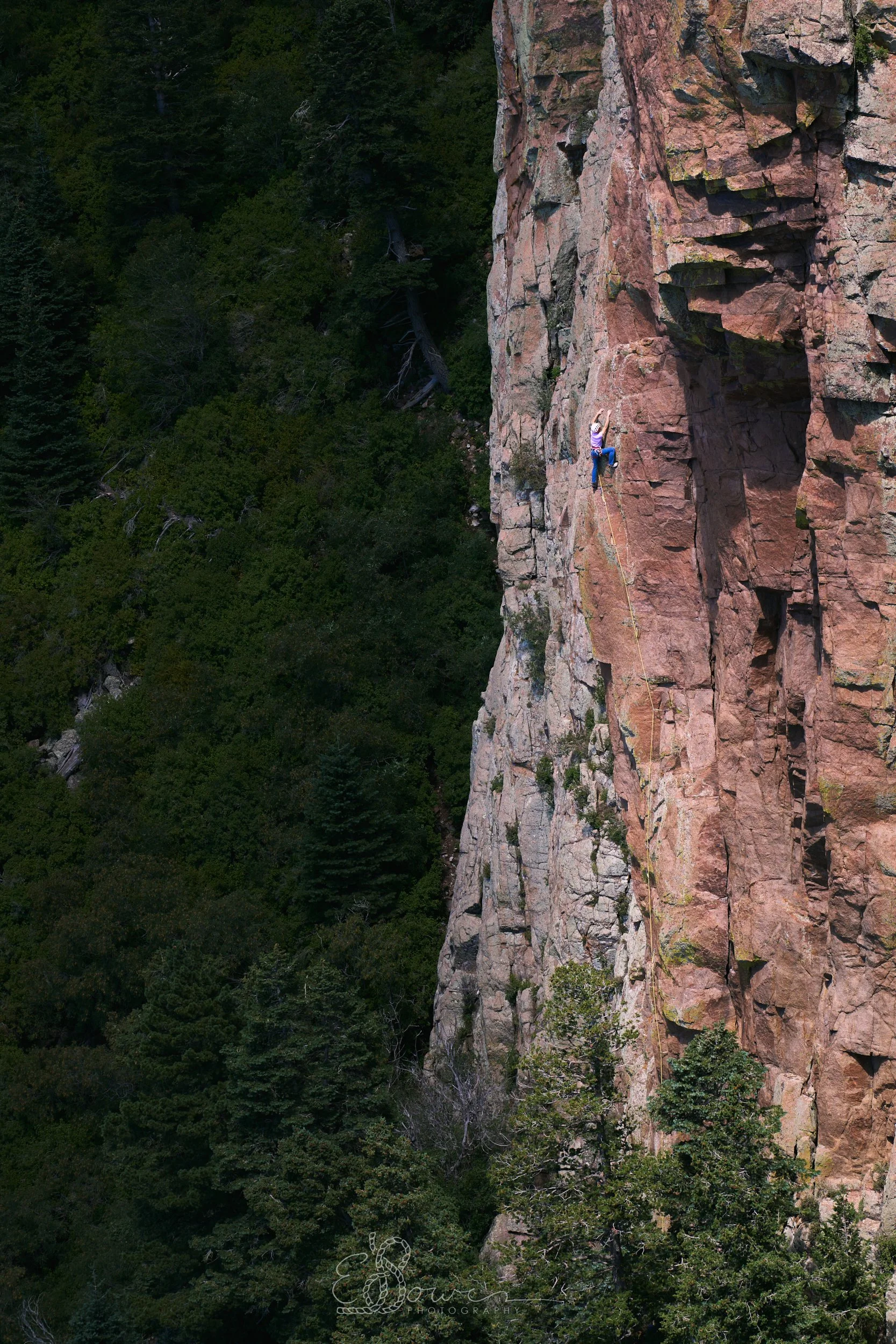 FEEDING FRENZY
Shot in the Sandia Mountains, NM | September 2024
70 mm | f/4 | 1/400s | ISO 100
new mexico.