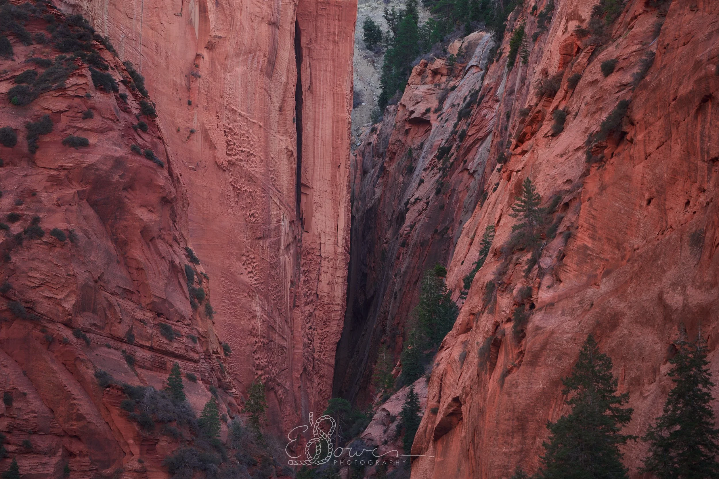   KOLOB II   
 Shot in Zion N.P., UT | November 2025.   
200 mm | 1/500 sec | f/5.6 | ISO 1250.