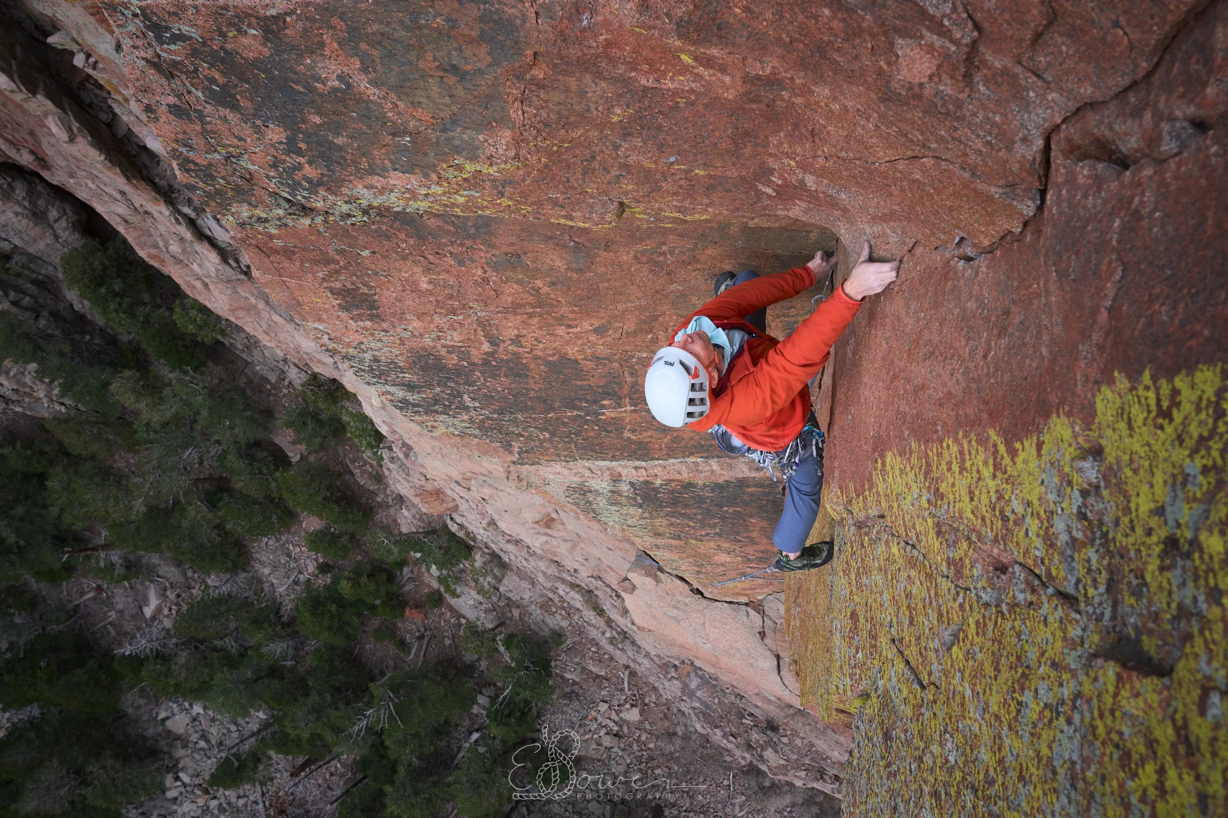  SORCERER'S APPRENTICE I  
 Shot in the Sandia Mountains, NM | May 2025  
24 mm | f/6.3 | 1/500 s | ISO 400
  new mexico.,  