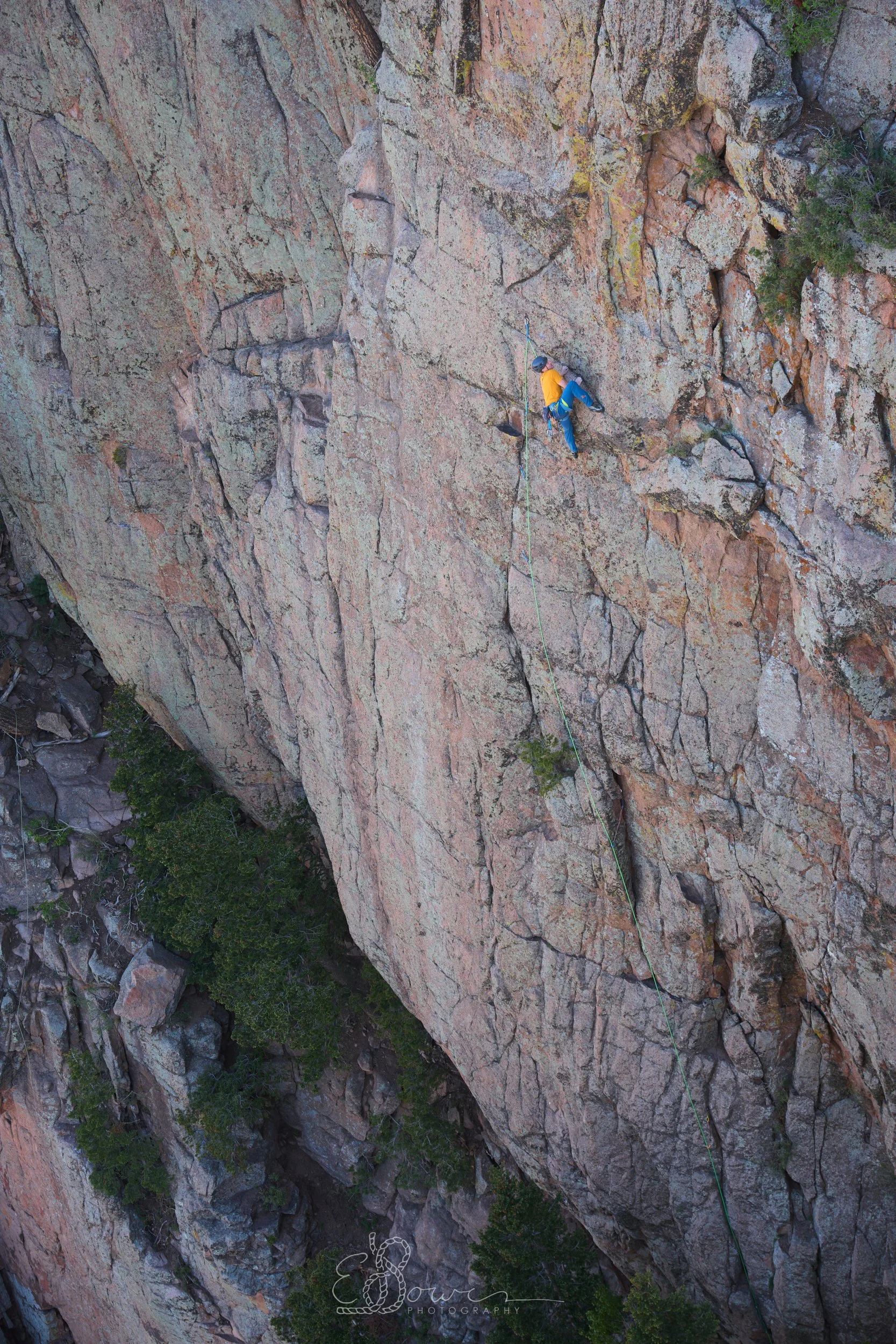  ANDRONEDA STRAIN  
 Shot in the Sandia Mountains, NM | 
June 2025  
42 mm | f/4 | 1/250 s | ISO 250
  new mexico.,  