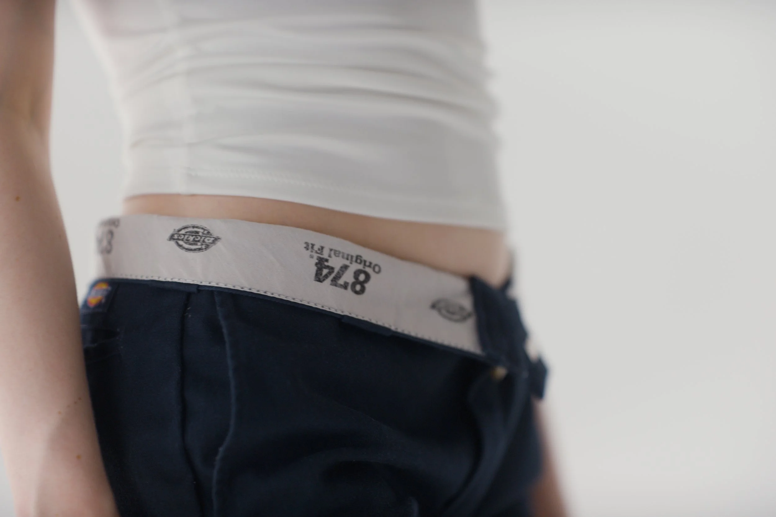Dickies SC 15.jpg