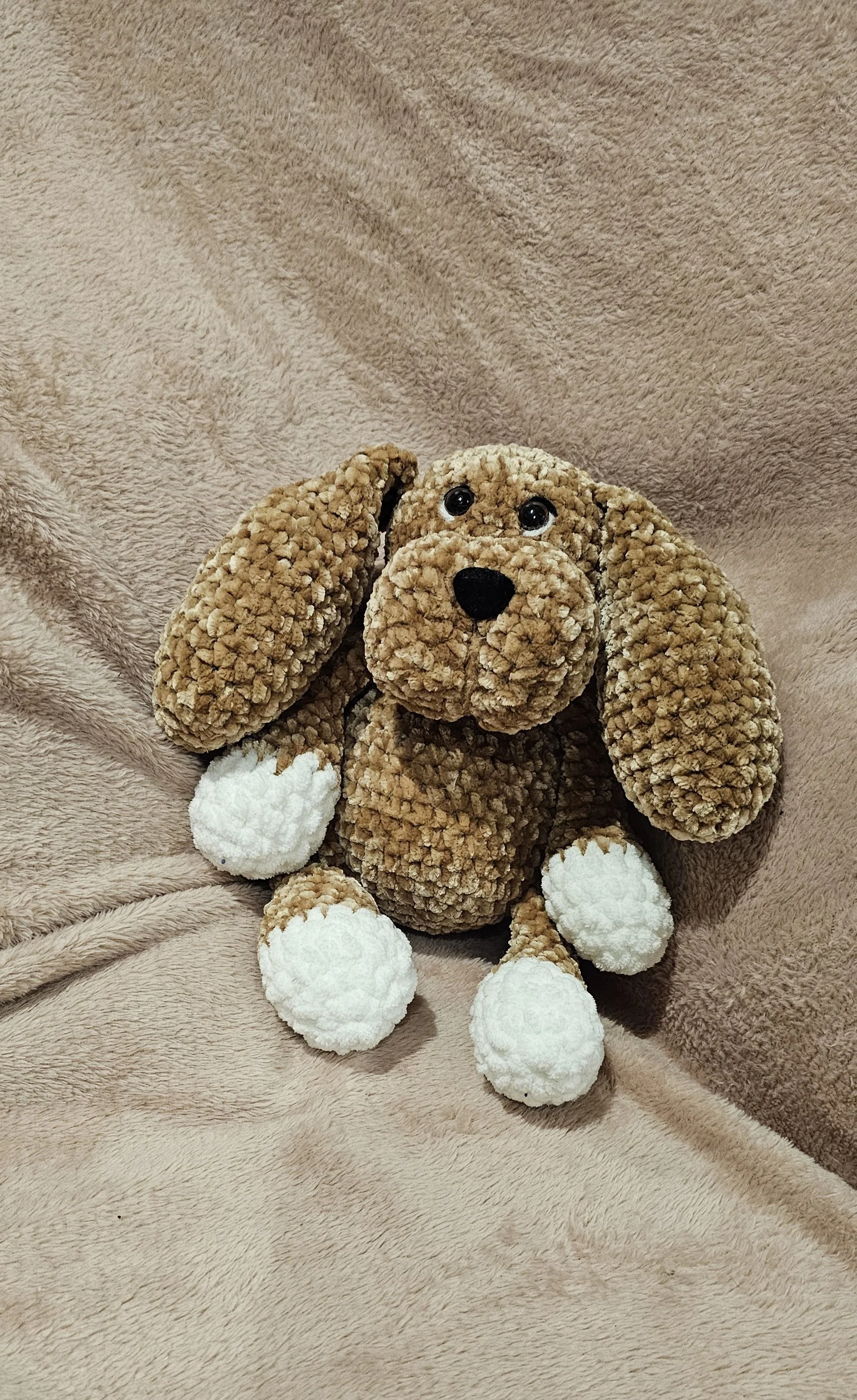 Puppy sitting in chair.jpg