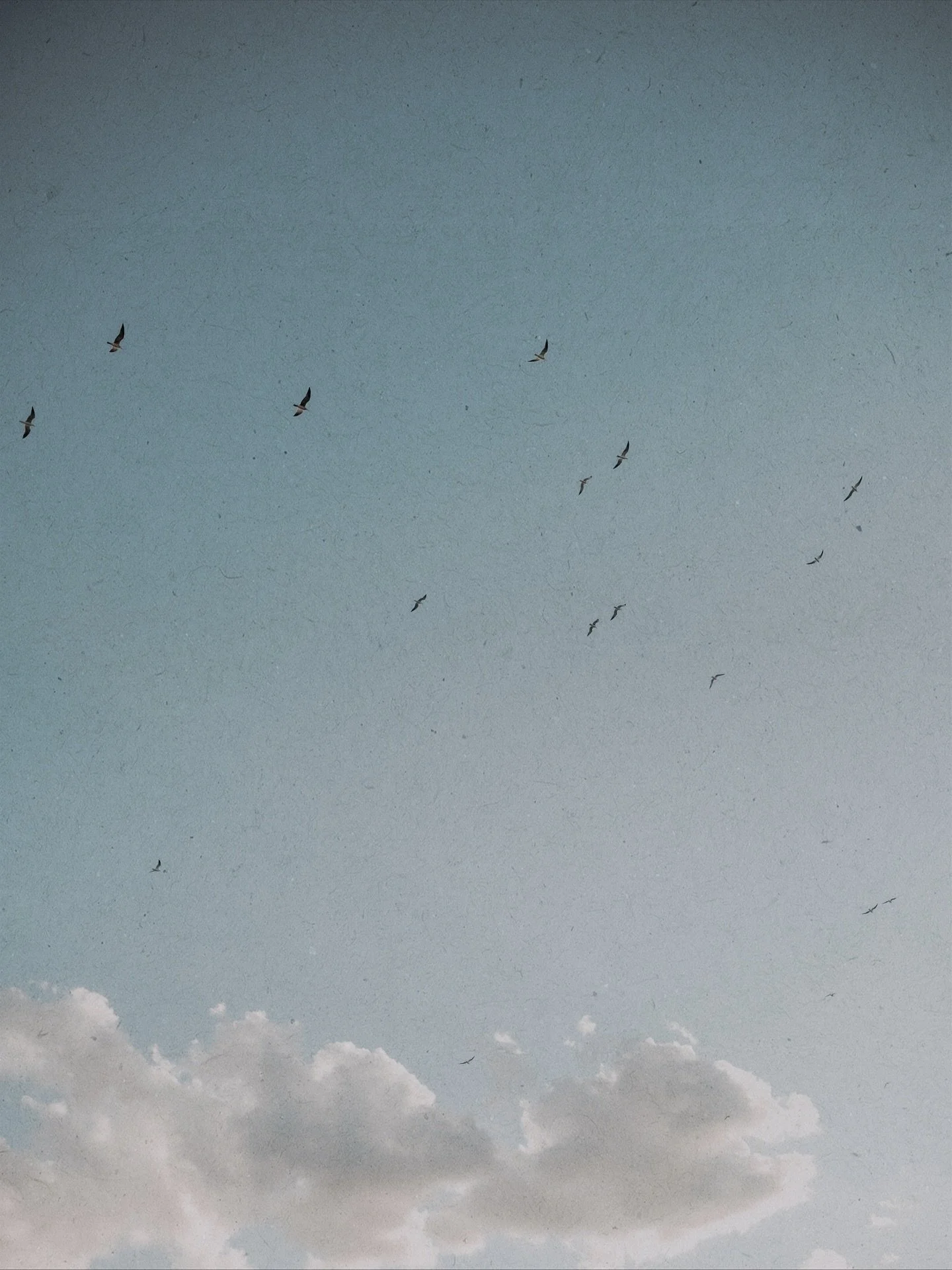Photographing moments that unfold naturally (two people choosing each other over and over) is truly my favorite part of what I do.

Sunset sessions in Cozumel always carry a special kind of magic, and this one was filled with so much tenderness.

If 