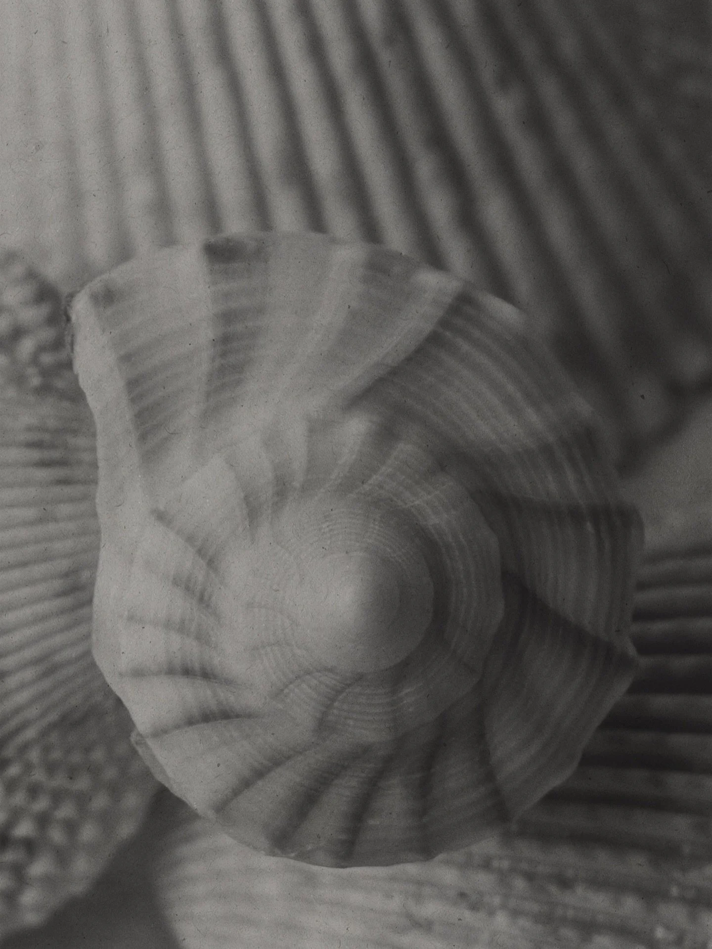 Real love exists, I&rsquo;ve seen it 🤍 ~
So grateful you let me capture your beautiful maternity photos 🥹
Getting to do this on the very last day of 2025 made it even more meaningful. I love my work, and moments like this are why.

#cozumel
Cozumel