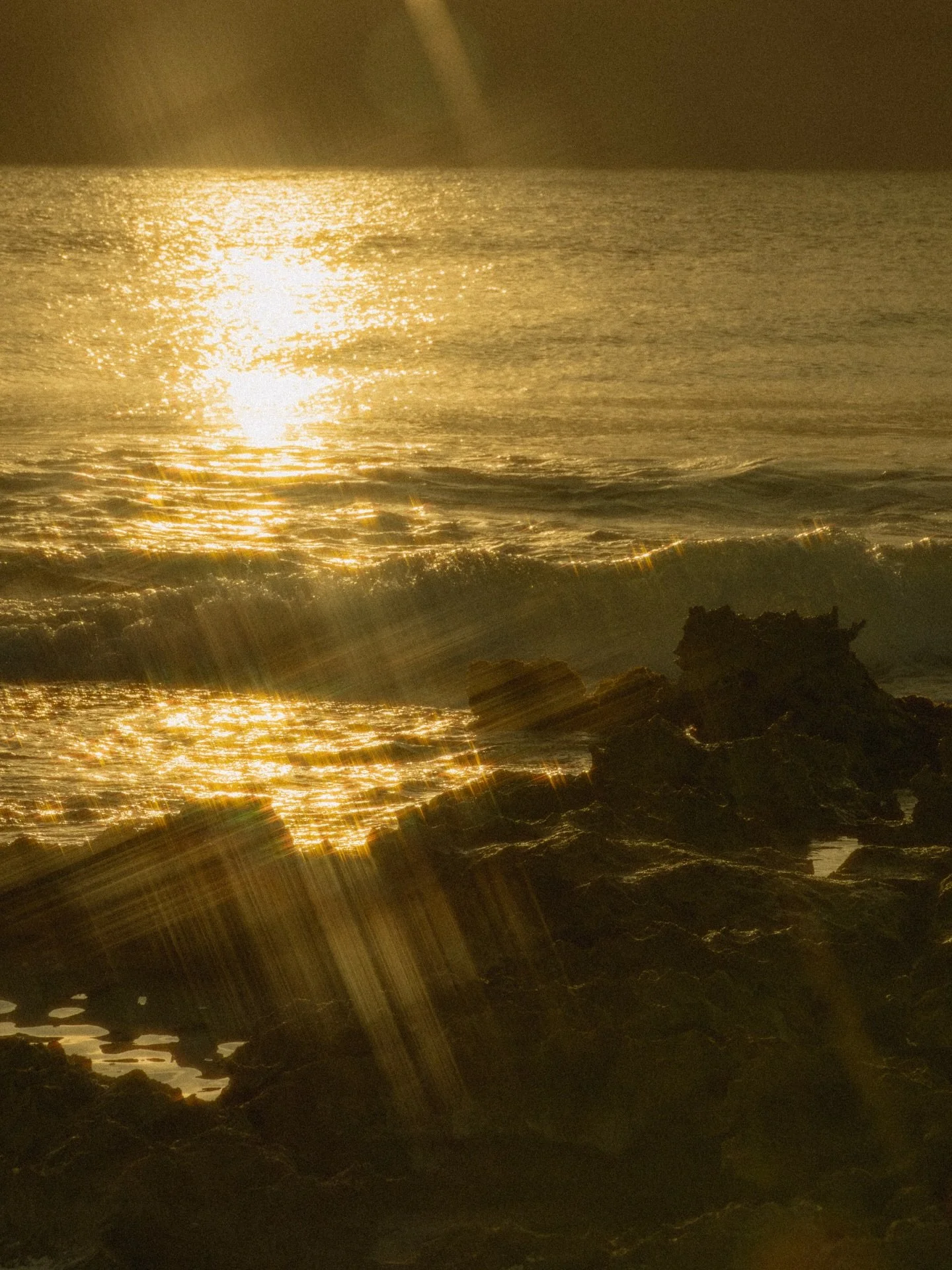 Forever in awe of the small, ordinary moments that somehow end up holding the most extraordinary joy 🤍

Gracias por permitirme capturar este momento 🫶🏼

📍Cozumel, Mexico.

Keywords:
Cozumel, Portrait Photographer Cozumel, Miami Photographer, Rivi