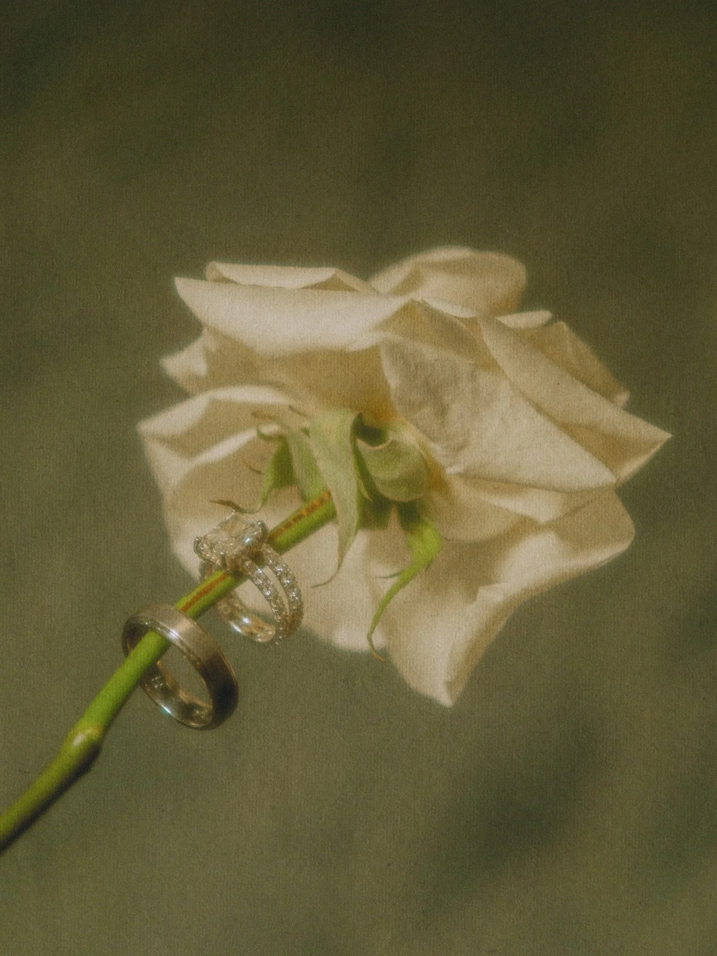 Time slows down just to watch love unfold 🤍

Jessi &amp; Rob&rsquo;s wedding day 💐

Planning + Design &amp; Management:
@mandarinaeventdesigners 

Venue:
@buccanos 

📍Cozumel, Mexico.

#cozumel #cozumelphotographer #rivieramayaphotographer #microw