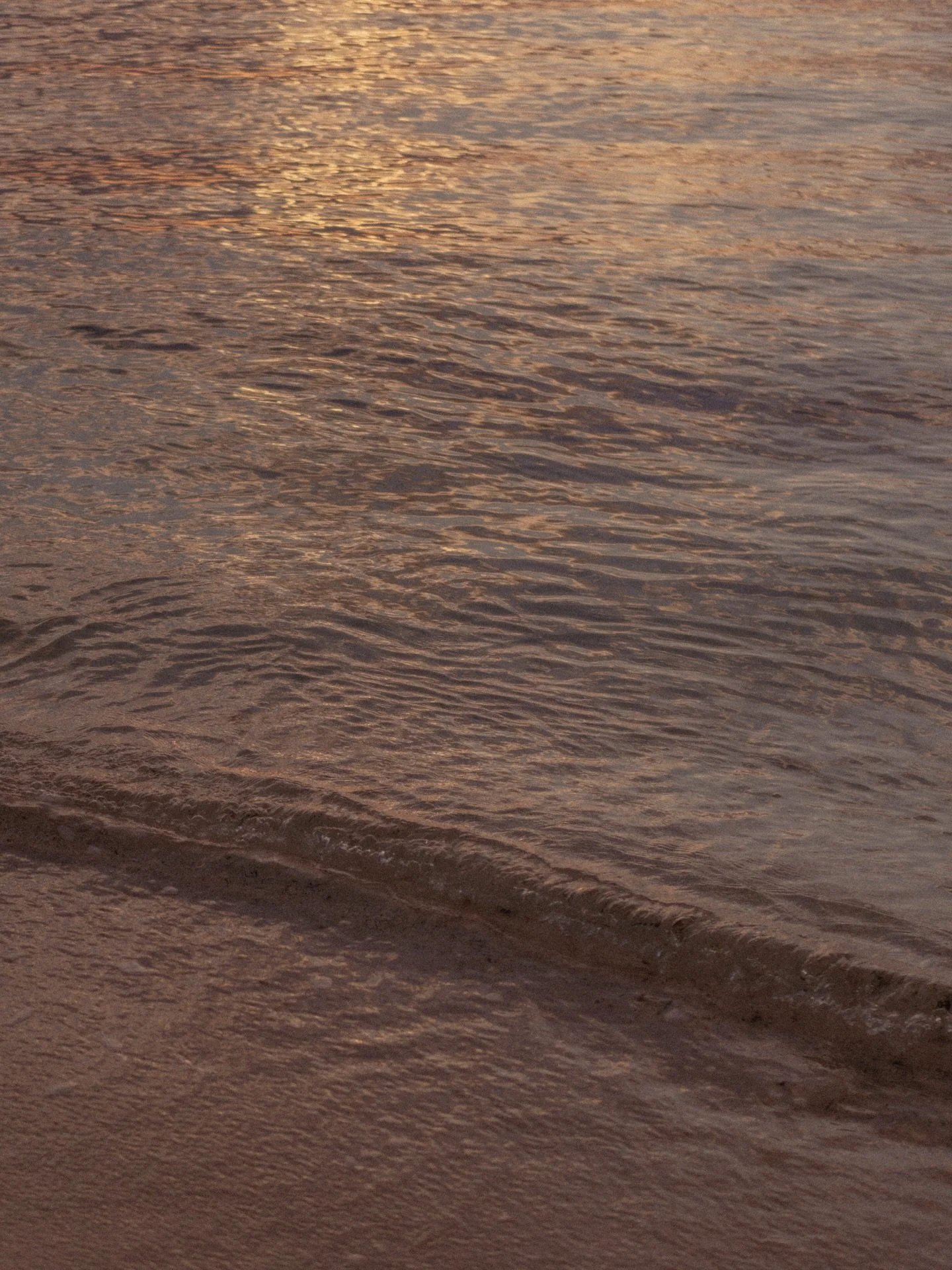 I am yours the way the sunlight belongs to the sea. 

👩🏼&zwj;🤝&zwj;👨🏻: @nicoleesalgado / @martingallardomgm 

Thank you for letting me capture this special moment for you🤍

📍Cozumel, Mexico.

#cozumel #cozumelphotographer #cozumeportraitphotog
