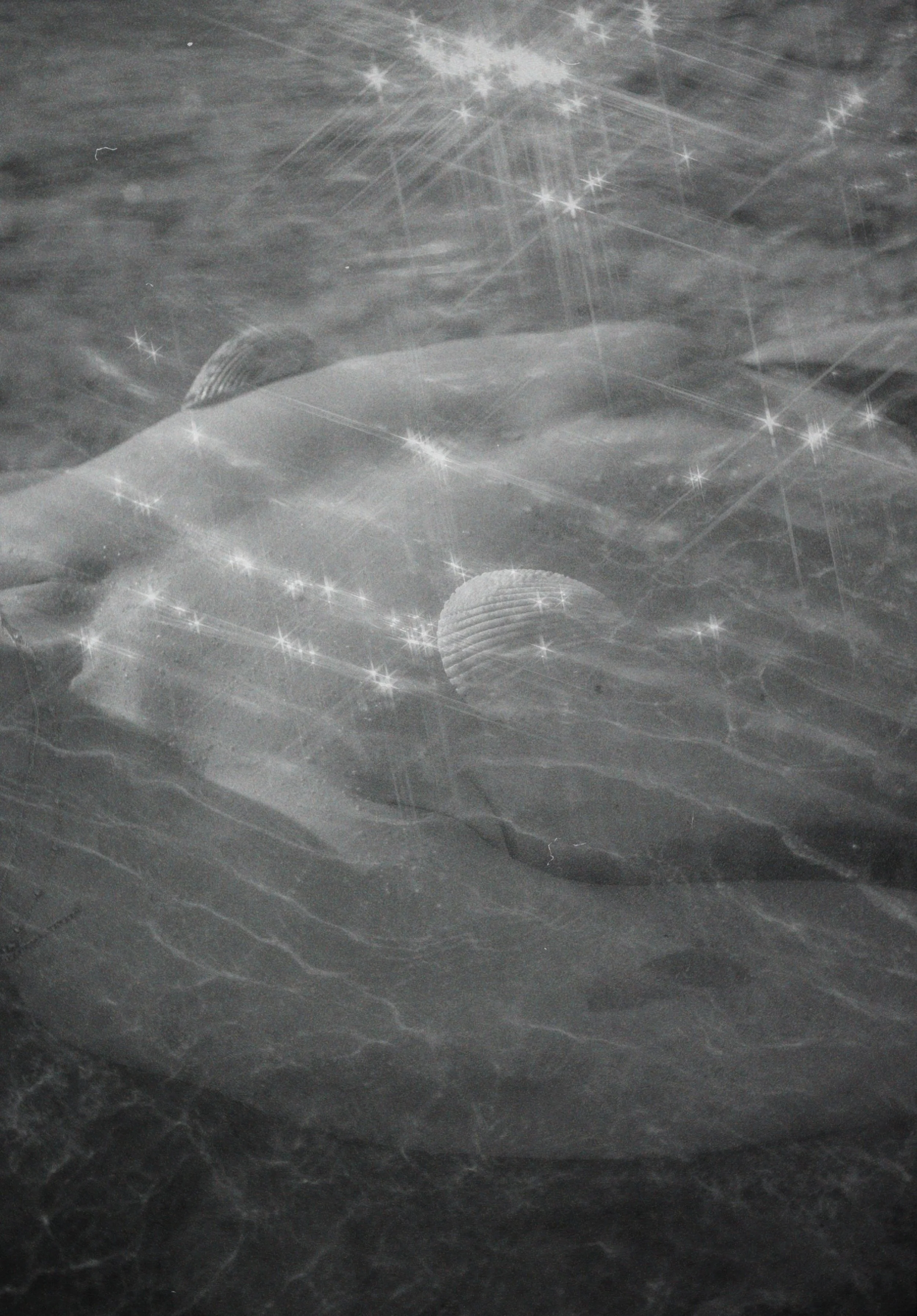 film11.JPG