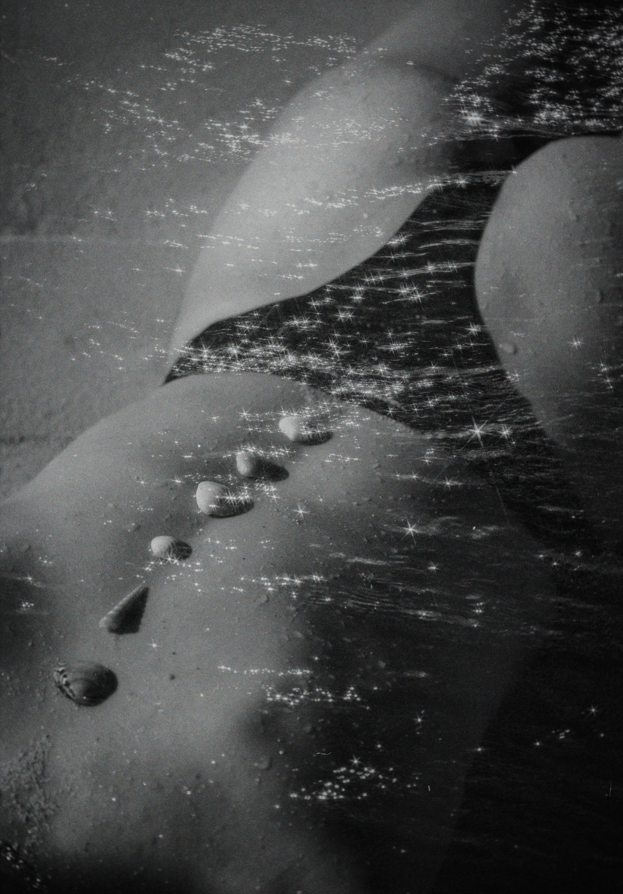 film10.JPG