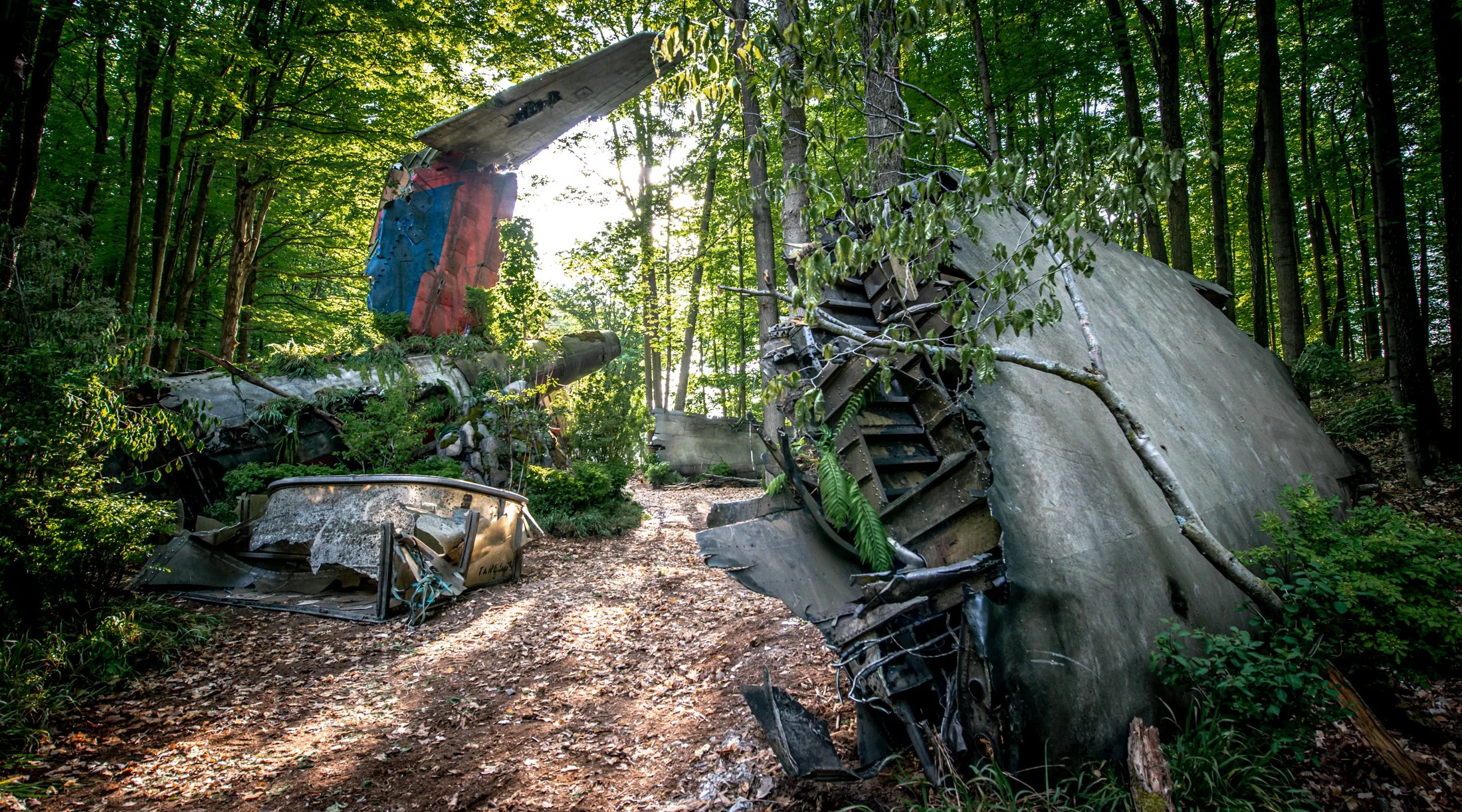 Downed Plane Tail Section-15.jpg