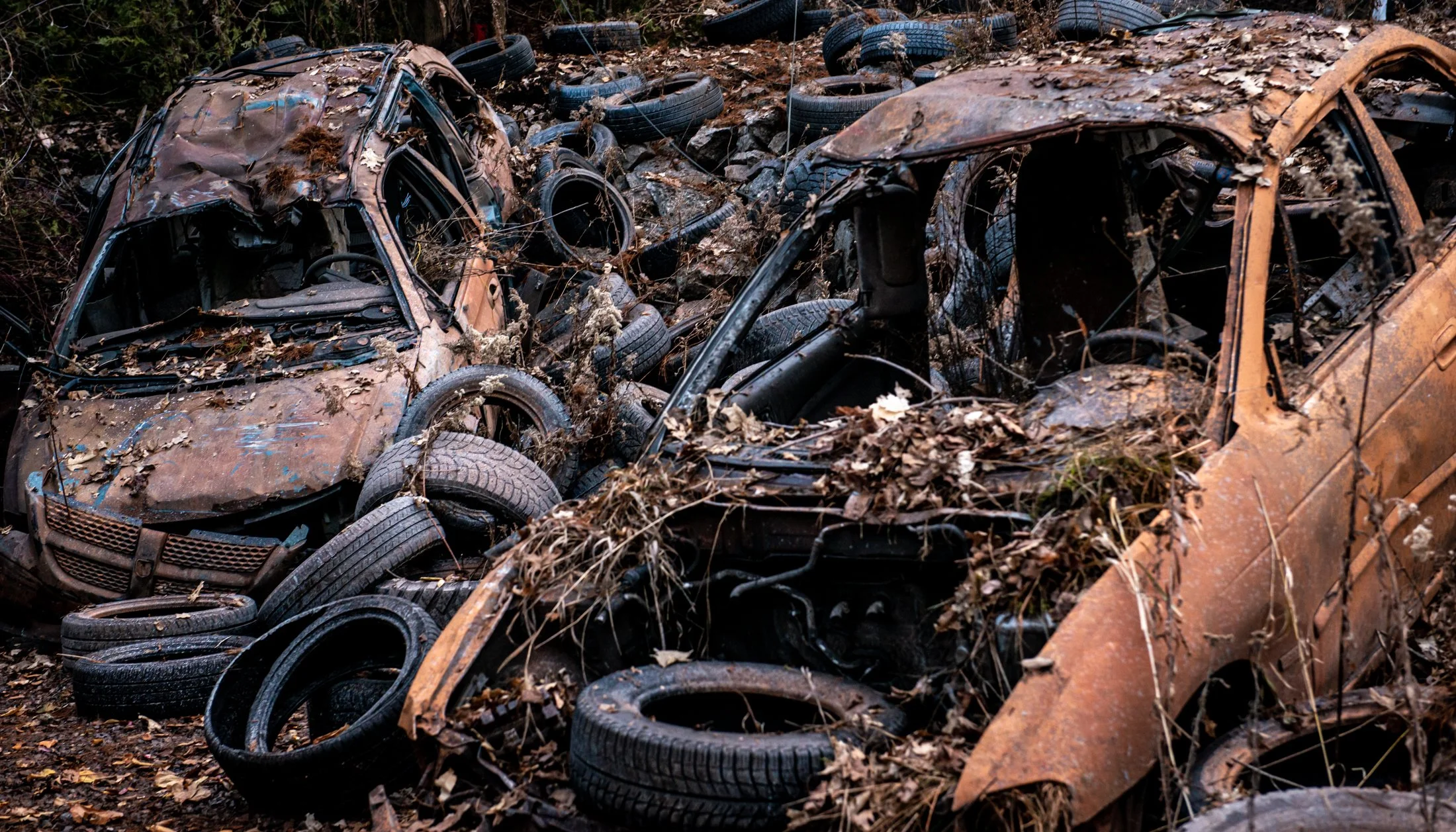 Greenhill Gap_Cave Exit-5.jpg