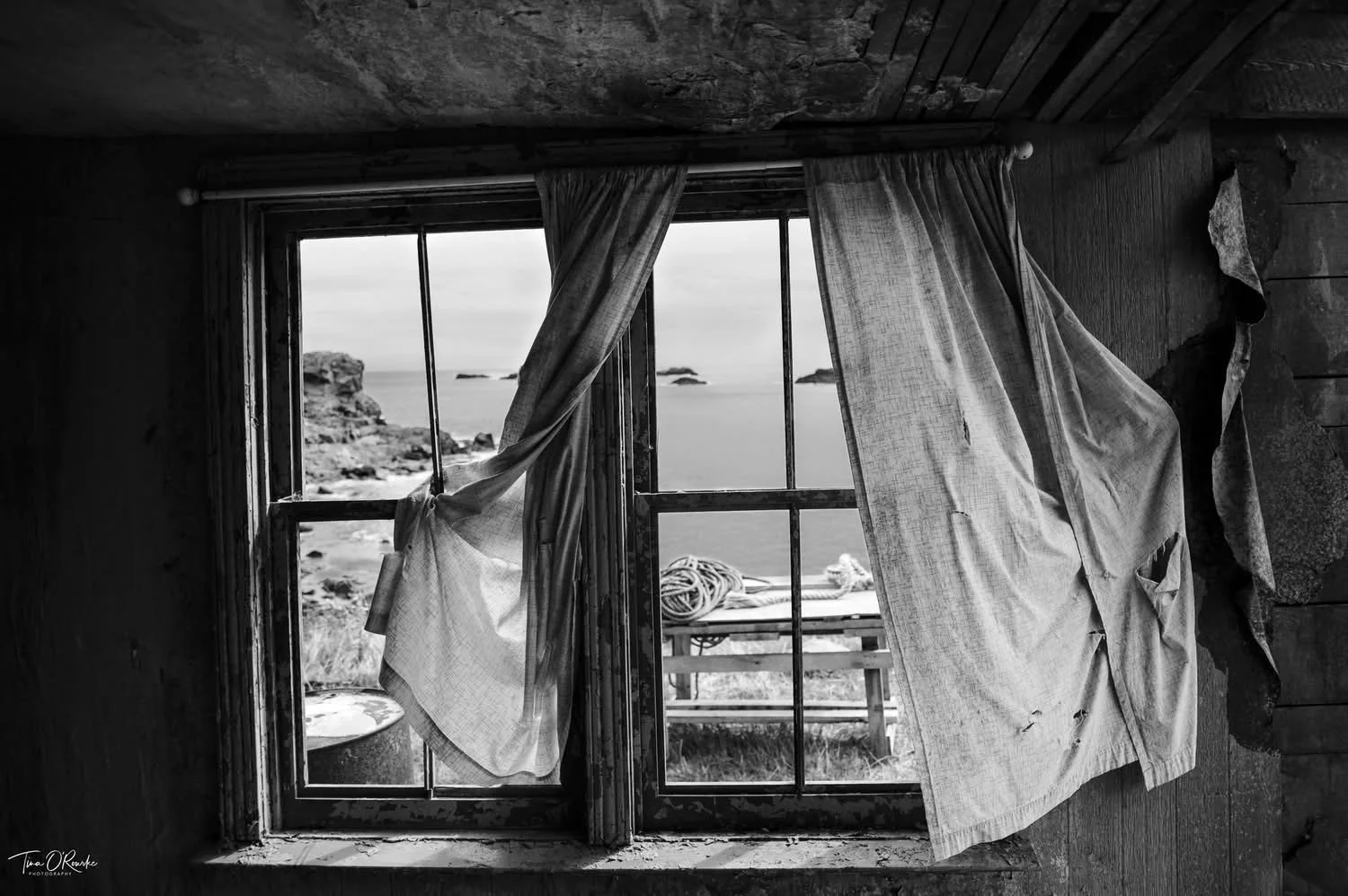 Untitled Newfoundland Project