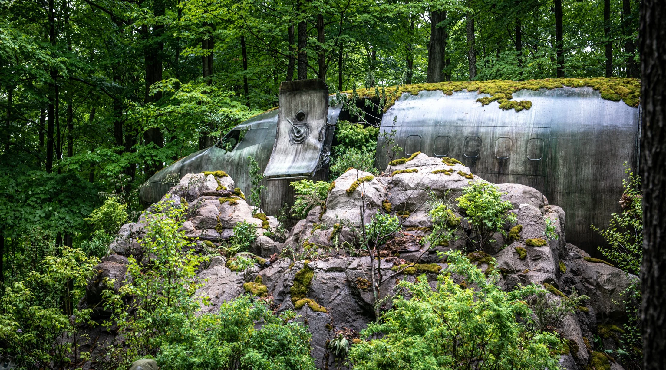 Downed Plane Nose Section-3.jpg