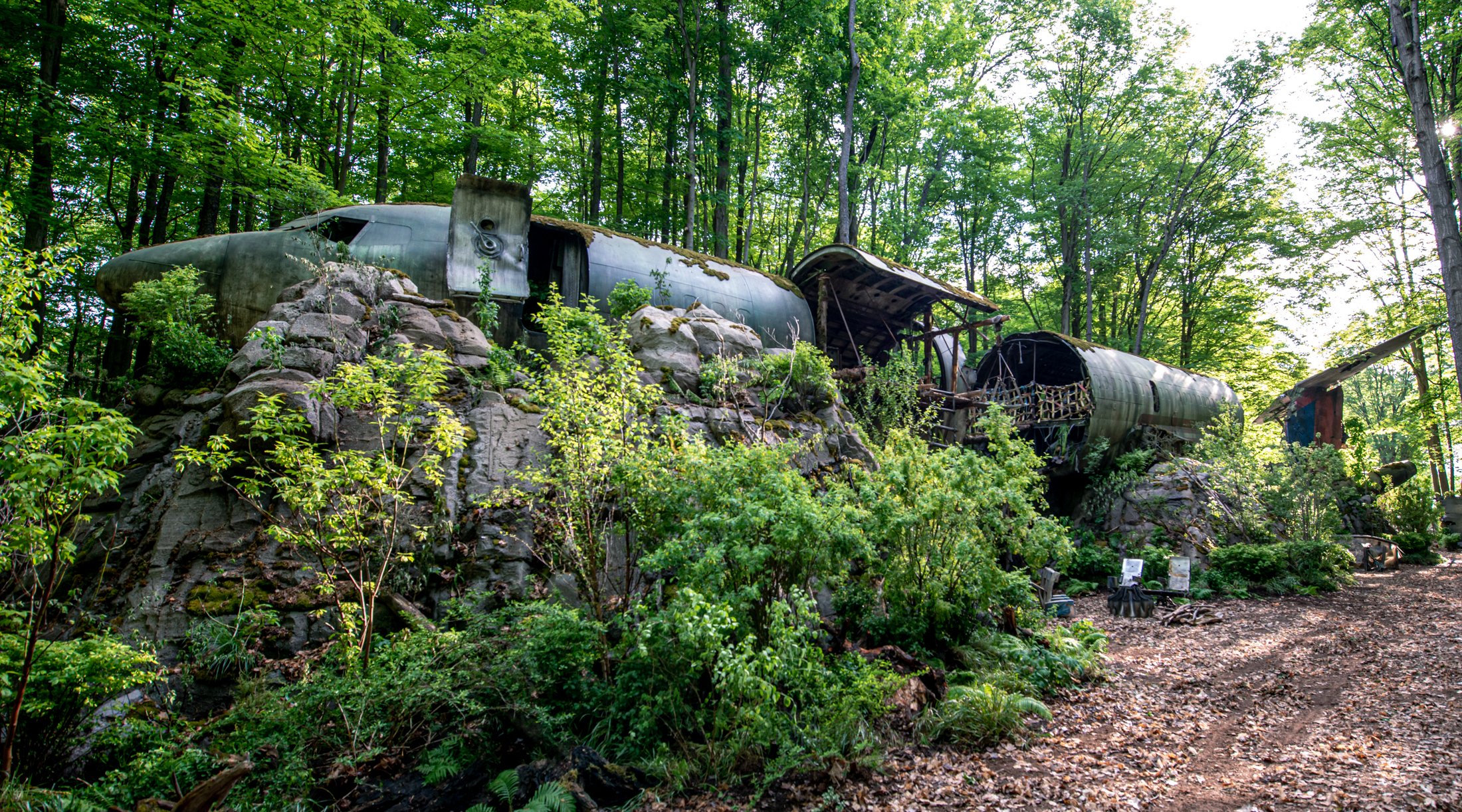 Downed Plane whole plane-1.jpg