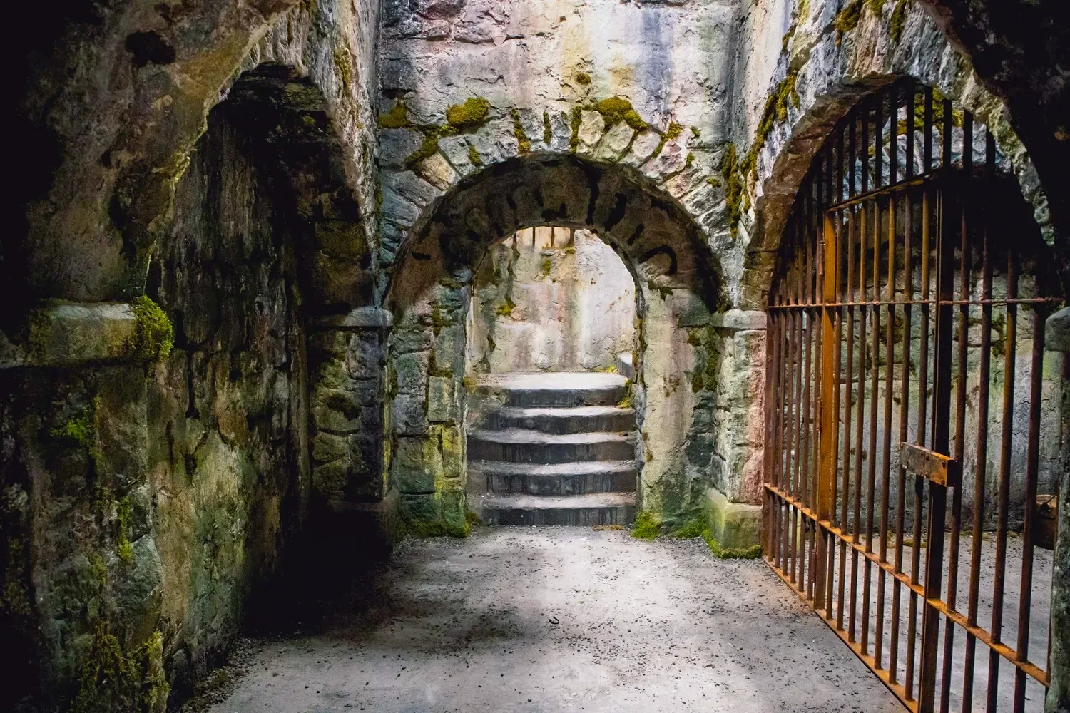 dungeon+1-1.jpg copy.webp