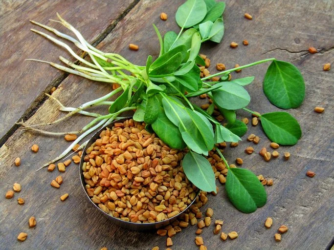 Fenugreen seeds and leaves on a rustic board