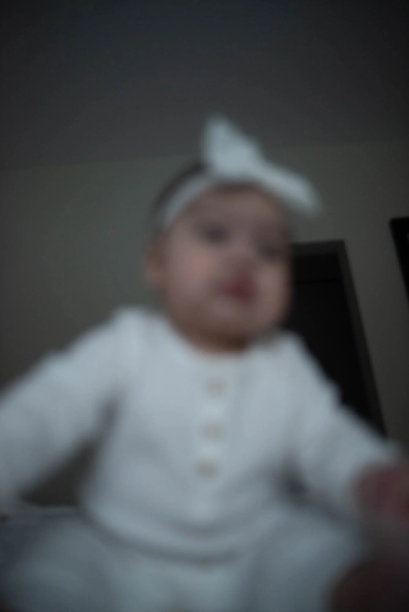 PLY_3469.jpg